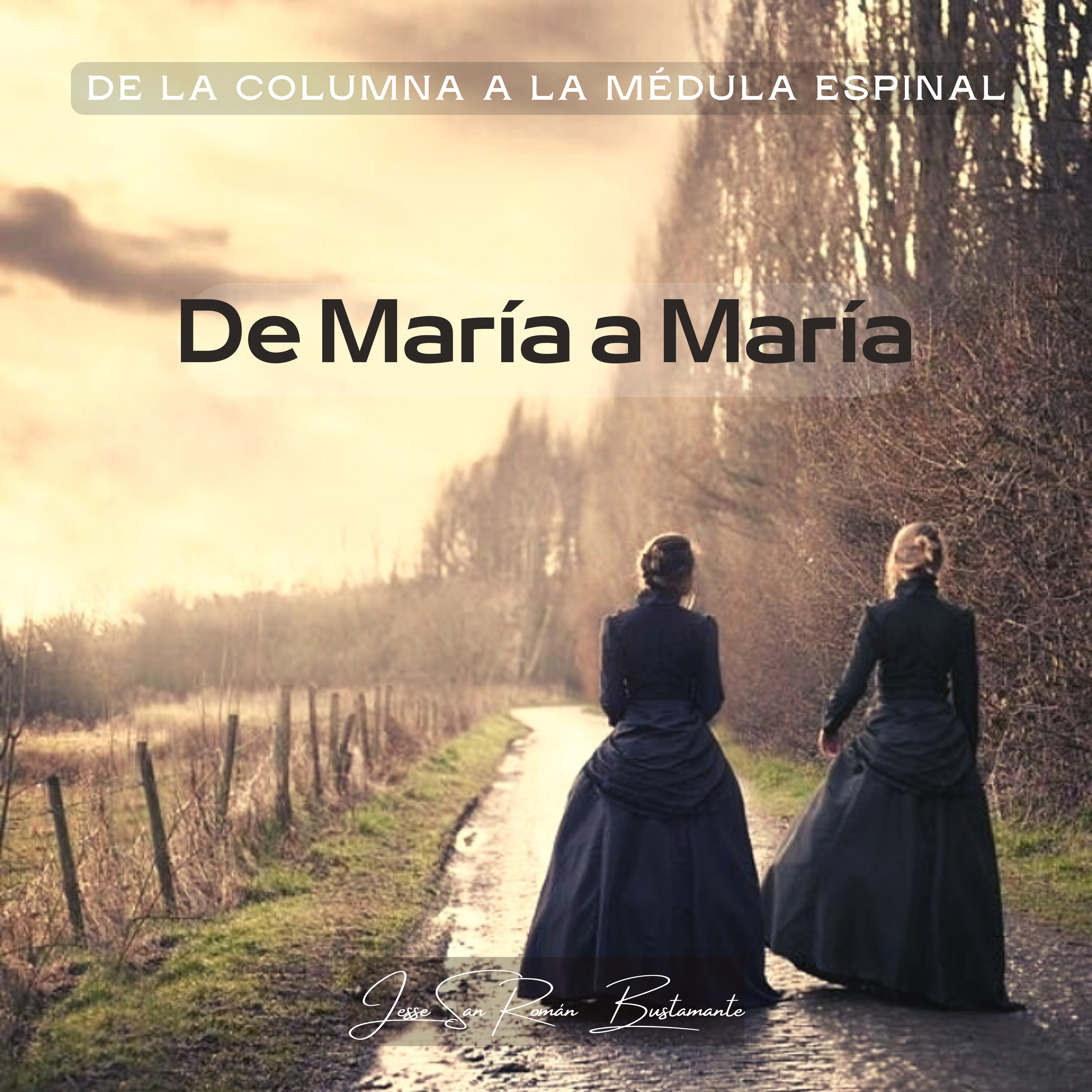 De la columna a la médula espinal