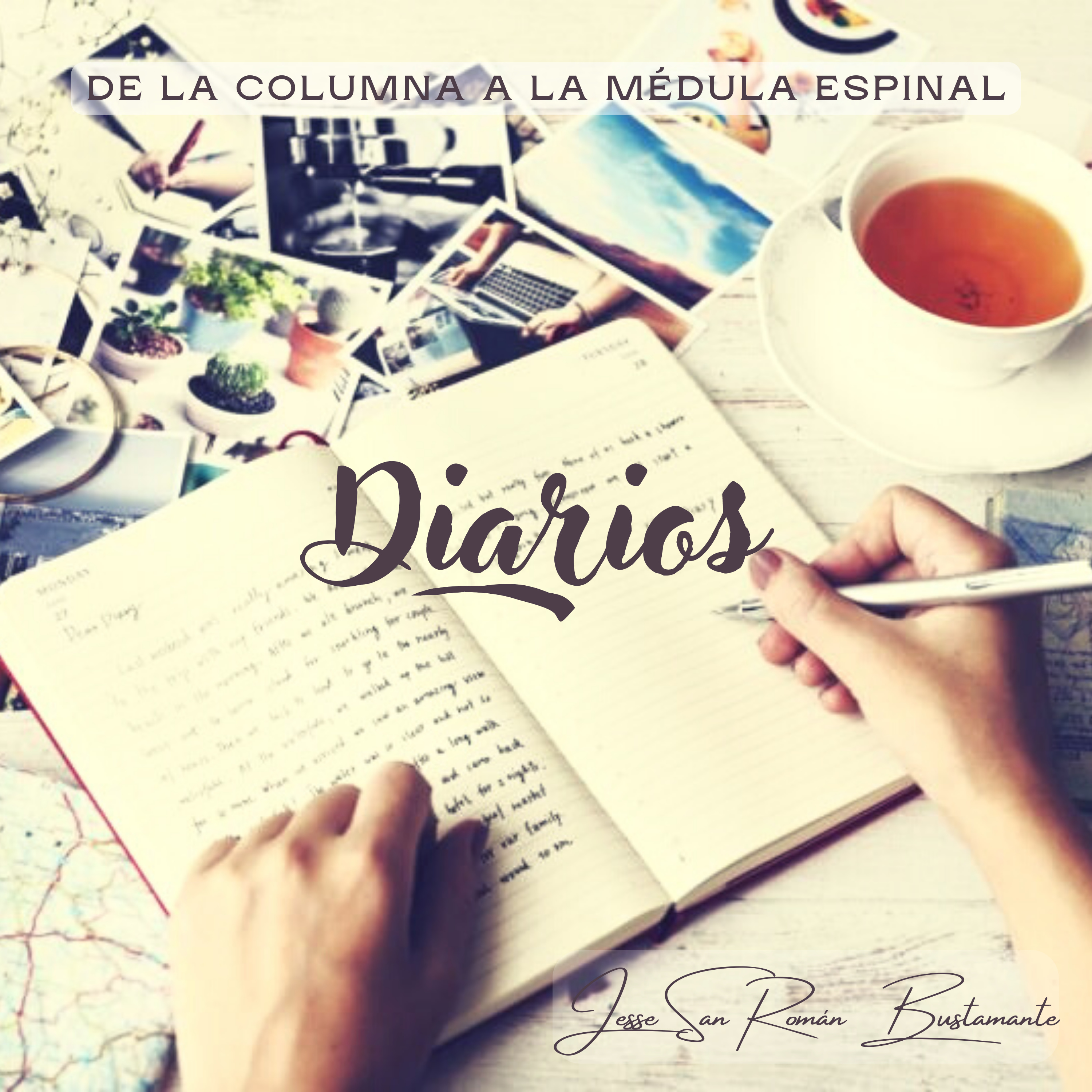 De la columna a la médula espinal