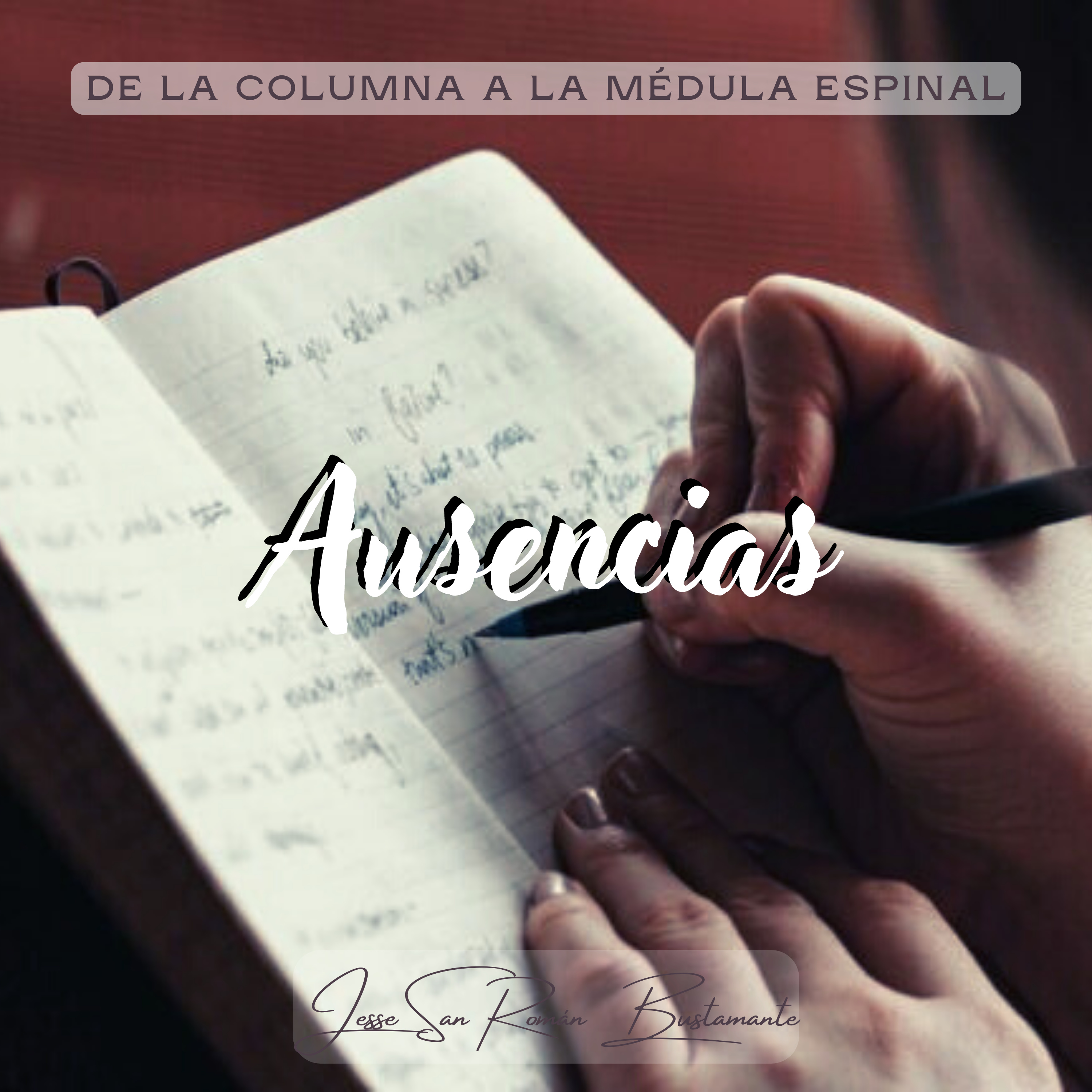 De la columna a la médula espinal