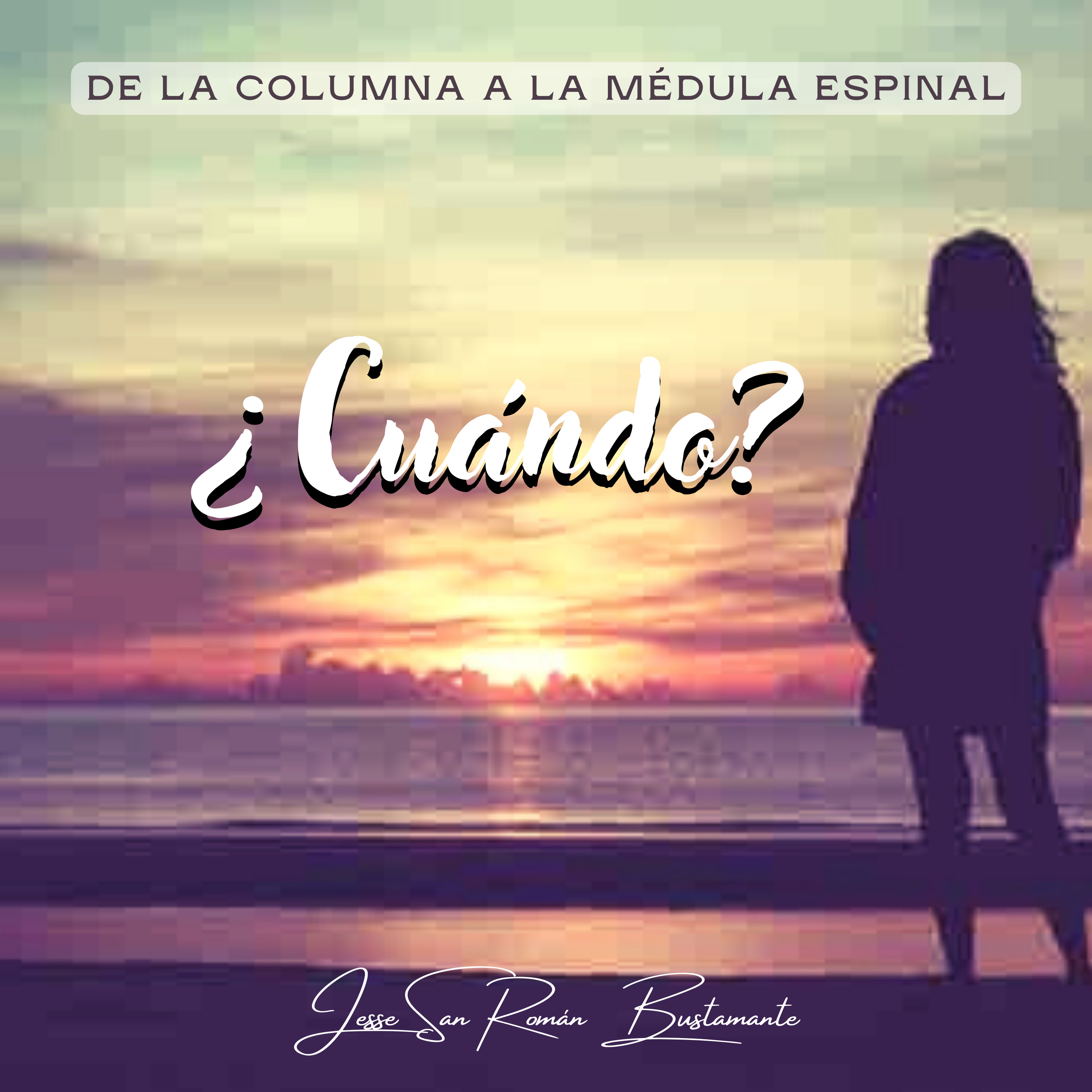De la columna a la médula espinal