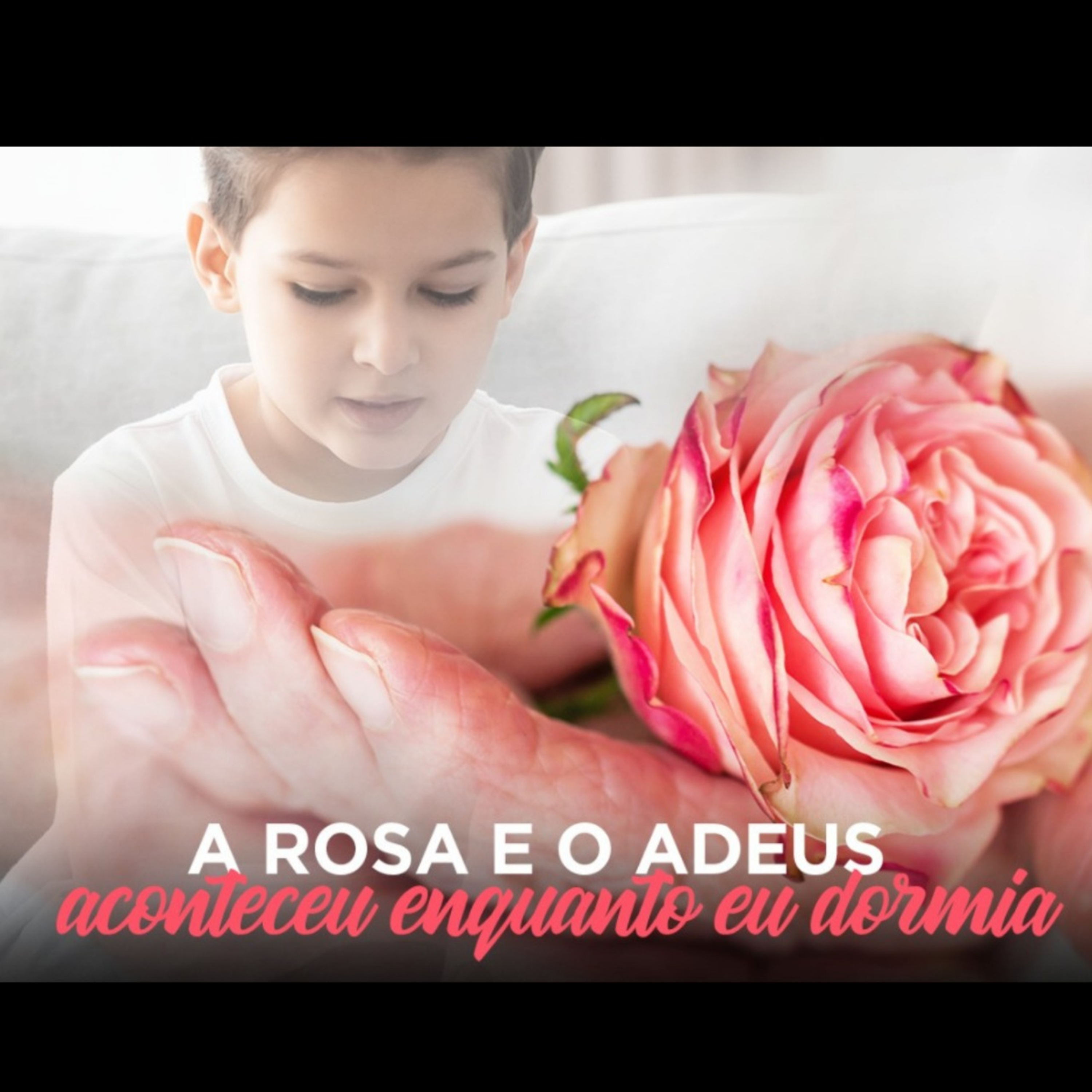 A Rosa e o adeus  episode artwork