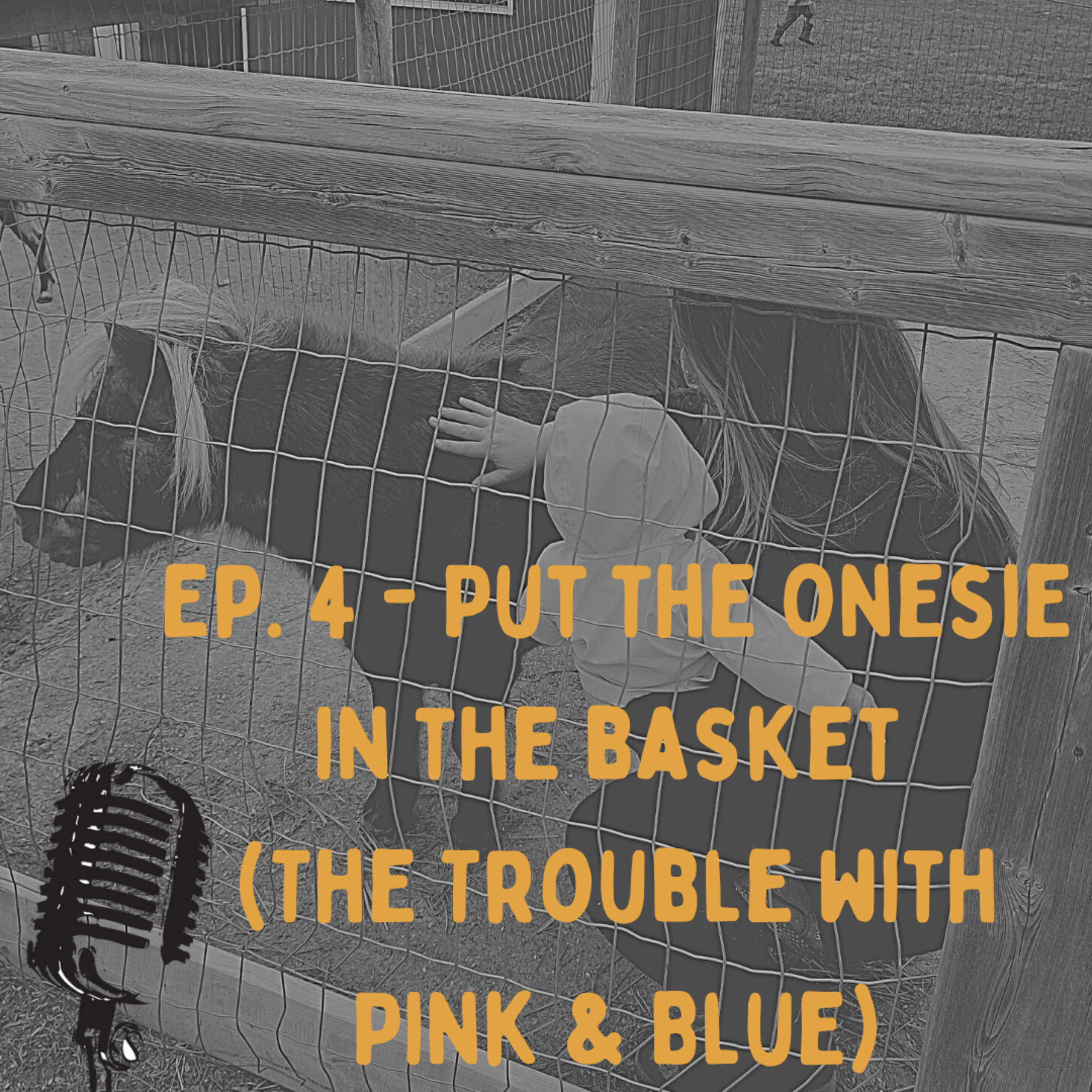 Episode 4 - Put the Onesie in the Basket (The Trouble with Pink & Blue) episode artwork