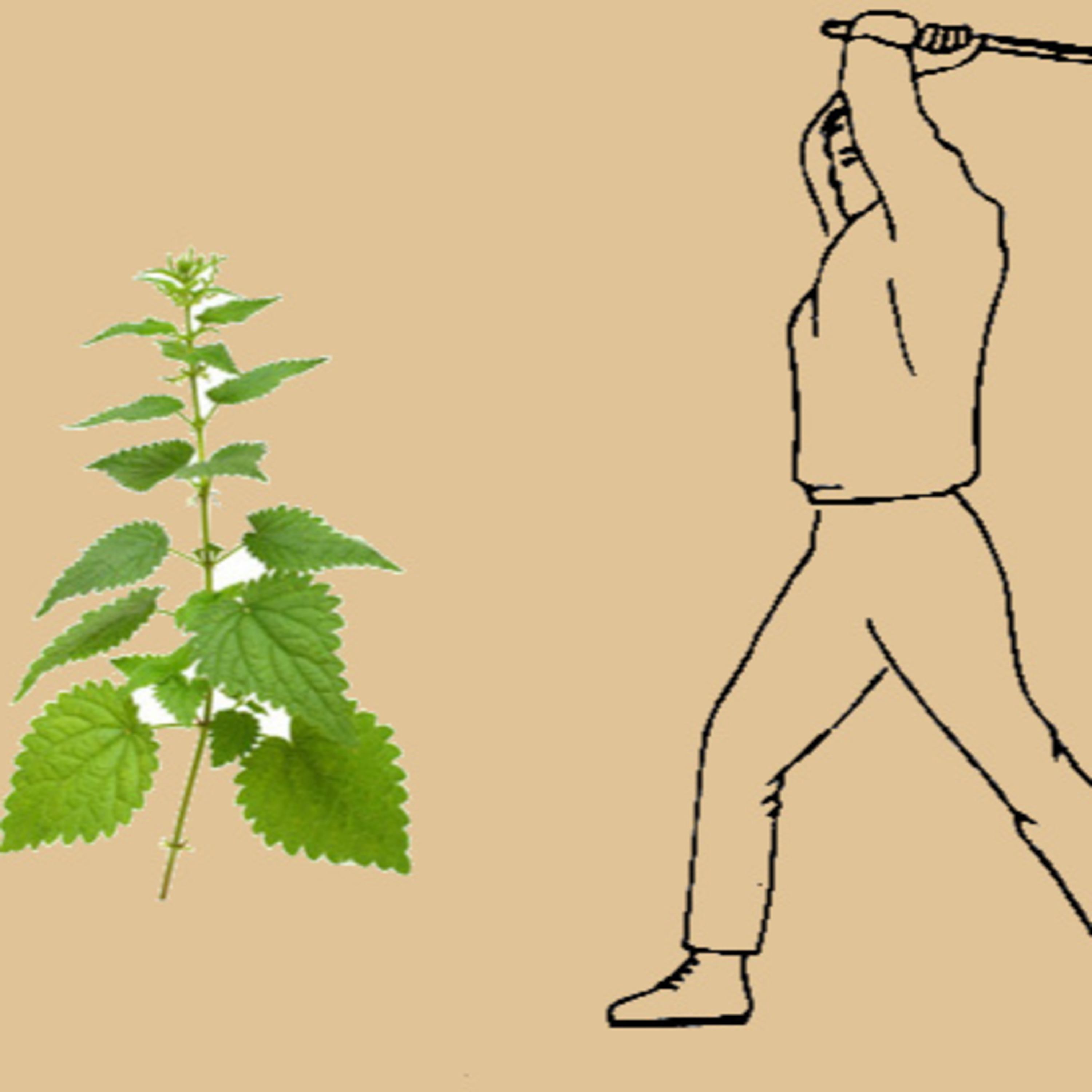 Давай після обіду