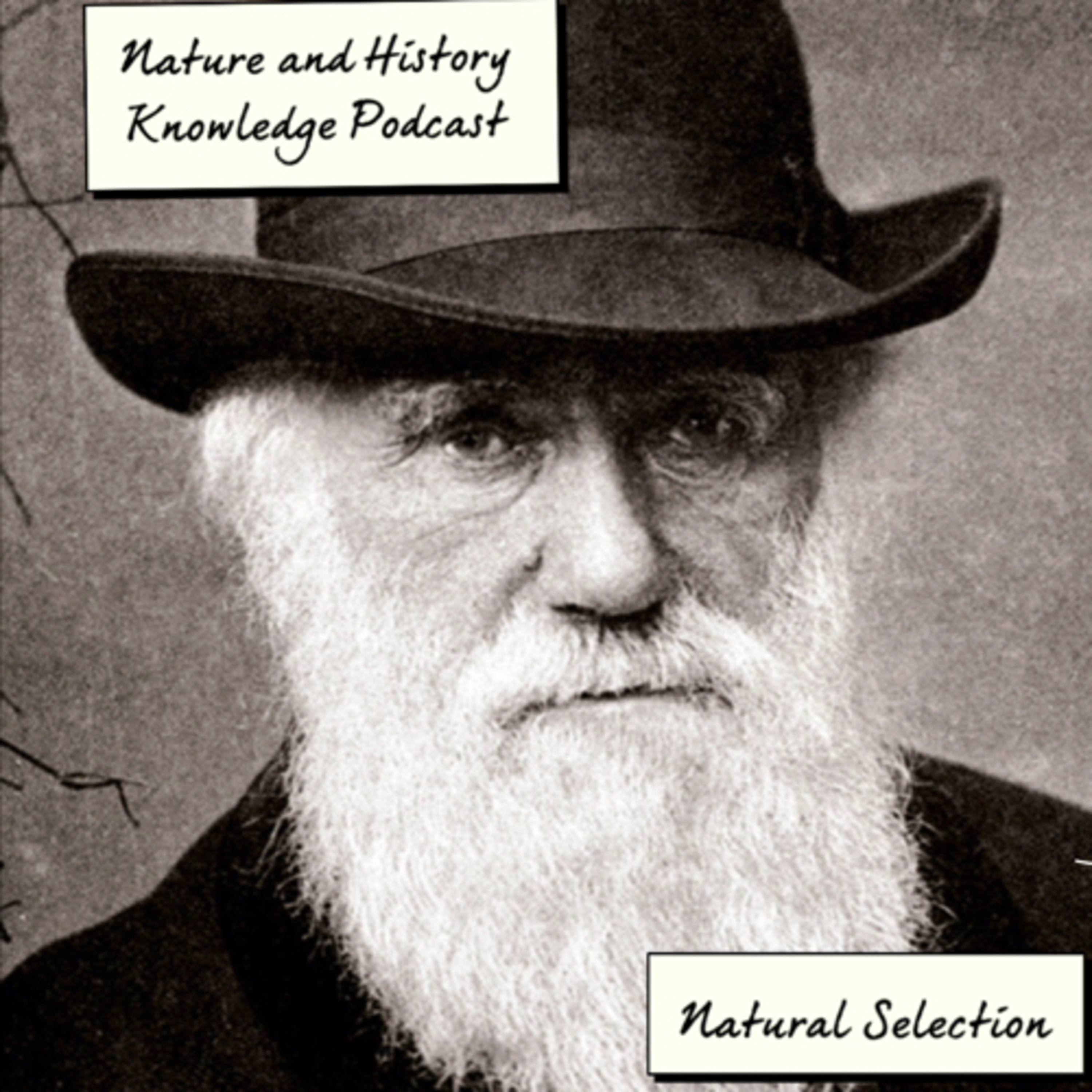 Misconception in Natural Selection: Organisms cannot adapt by temselves
