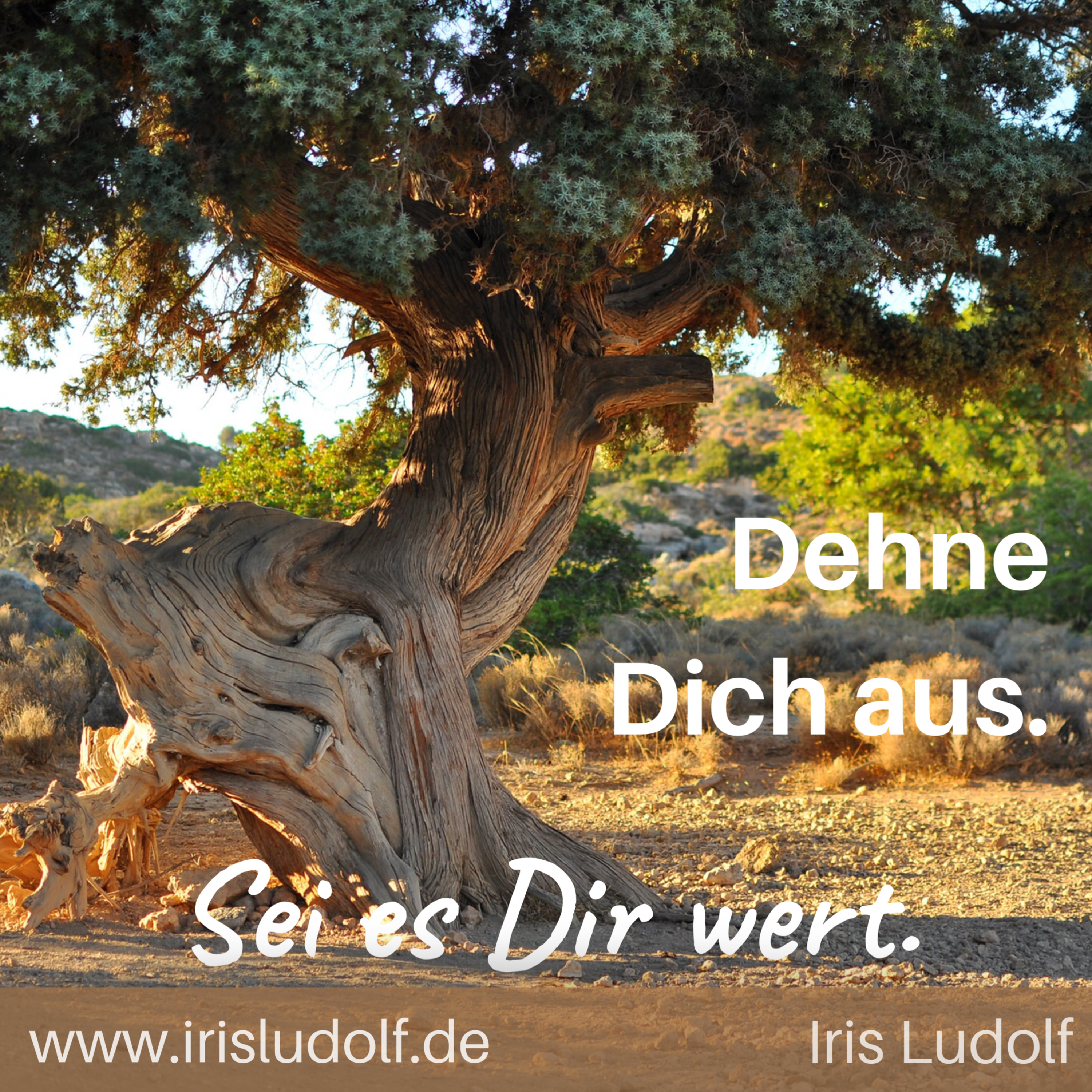 Sei es Dir wert. Berührende Worte für Deine Seele.
