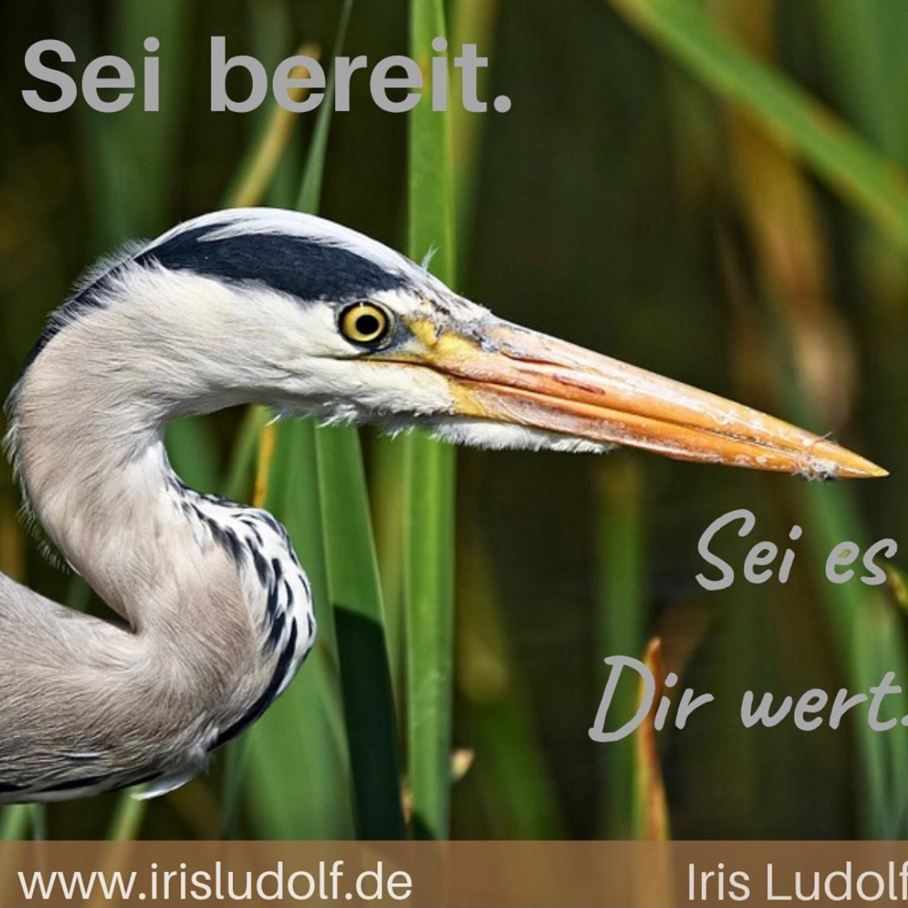 Sei es Dir wert. Berührende Worte für Deine Seele.