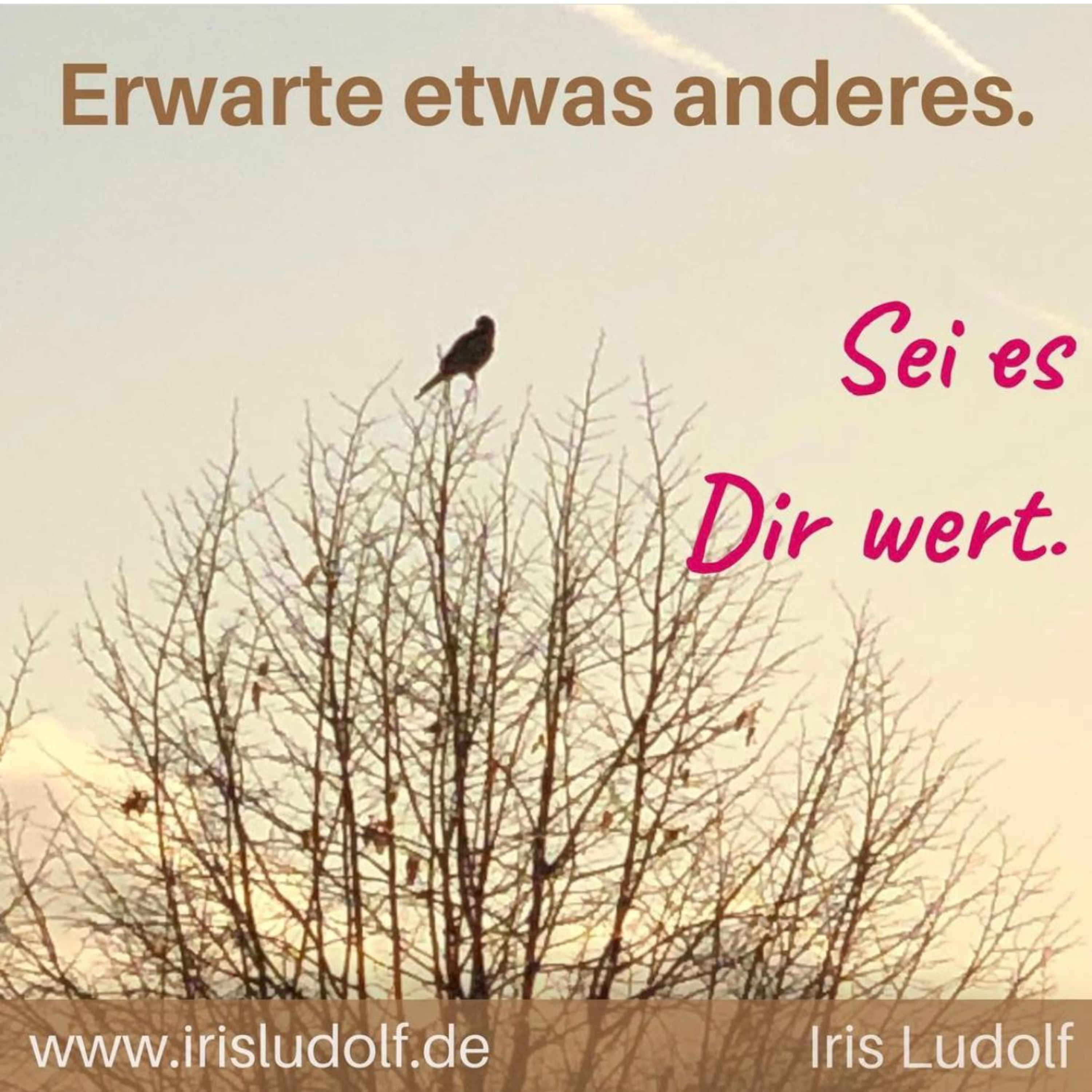 Sei es Dir wert. Berührende Worte für Deine Seele.