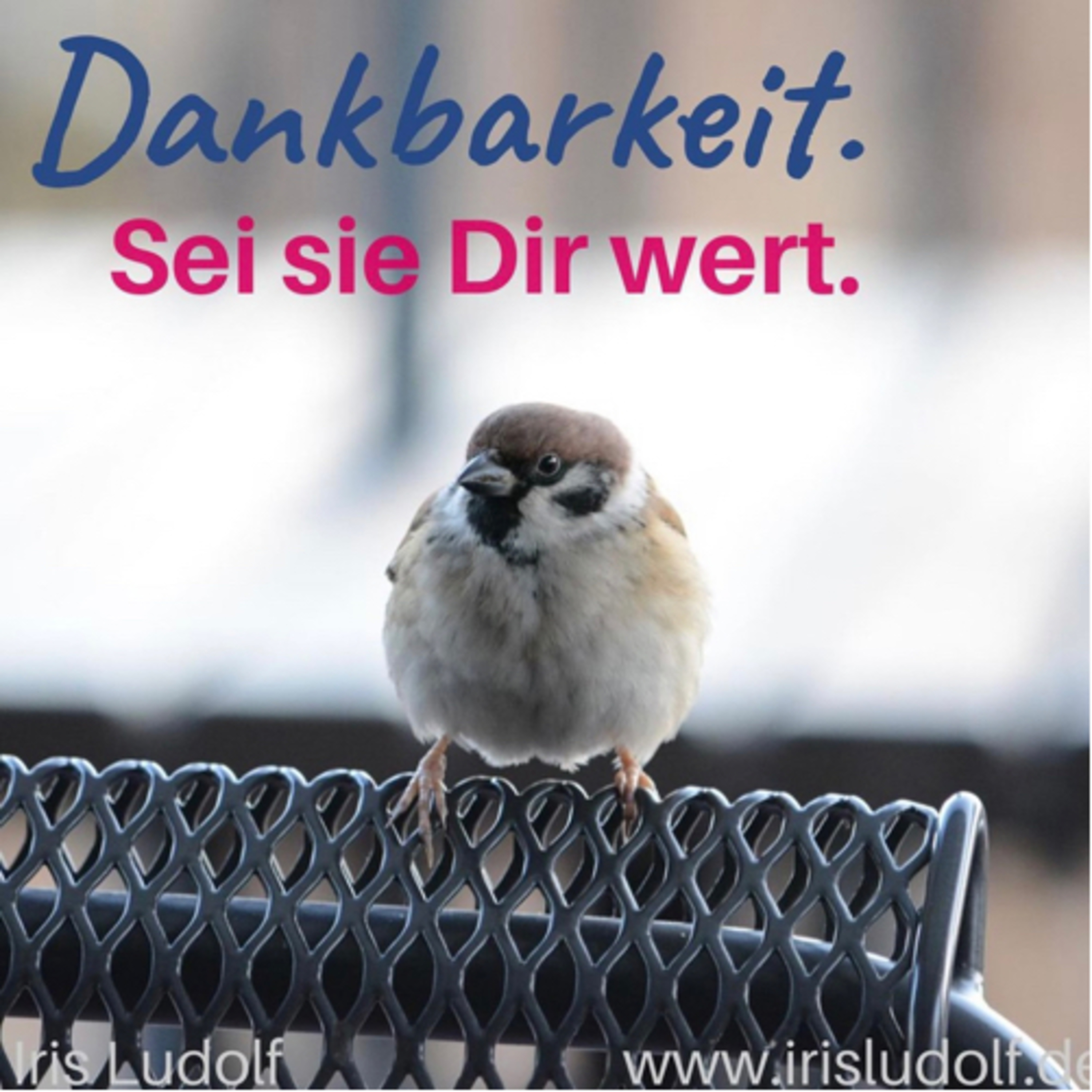 Sei es Dir wert. Berührende Worte für Deine Seele.