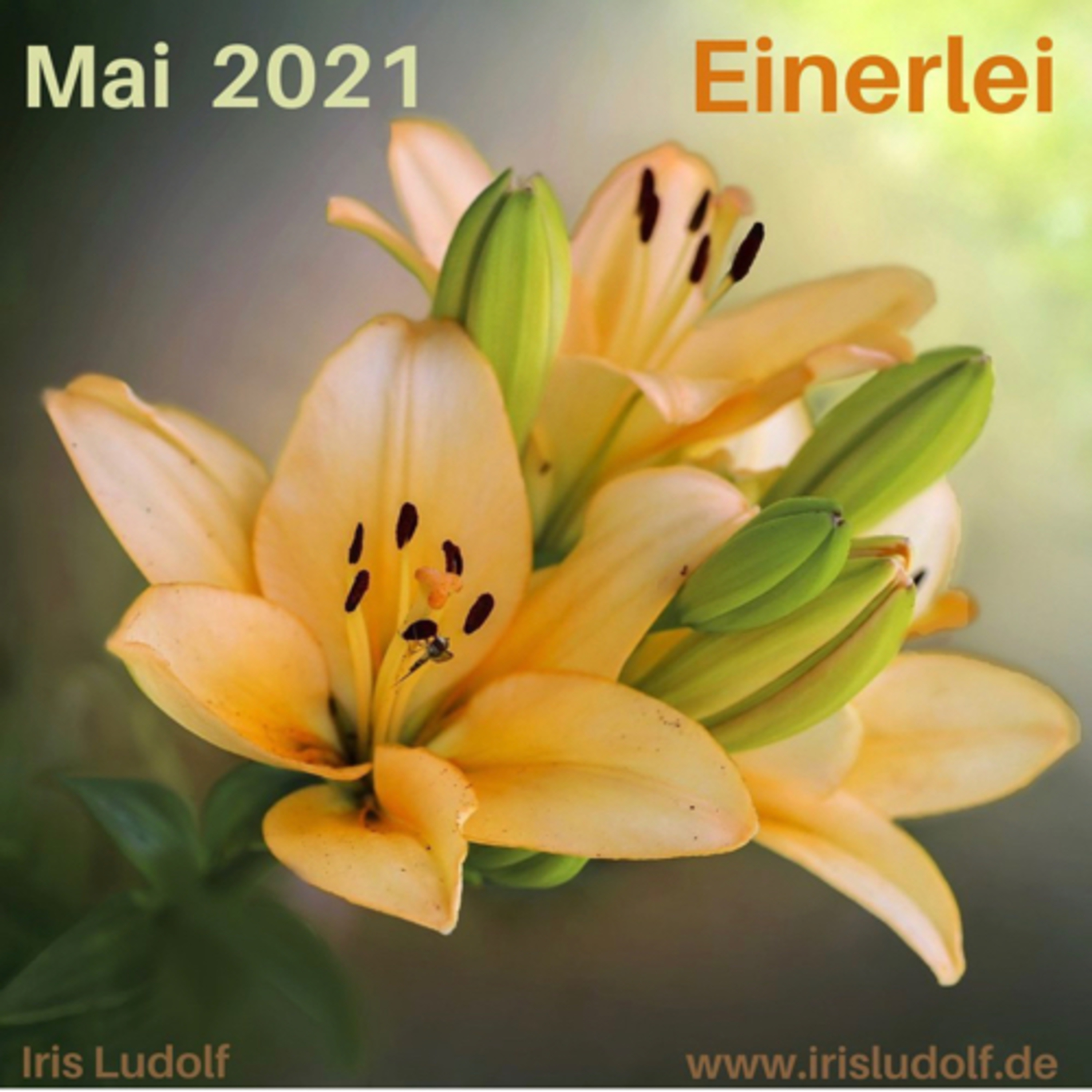 Sei es Dir wert. Berührende Worte für Deine Seele.