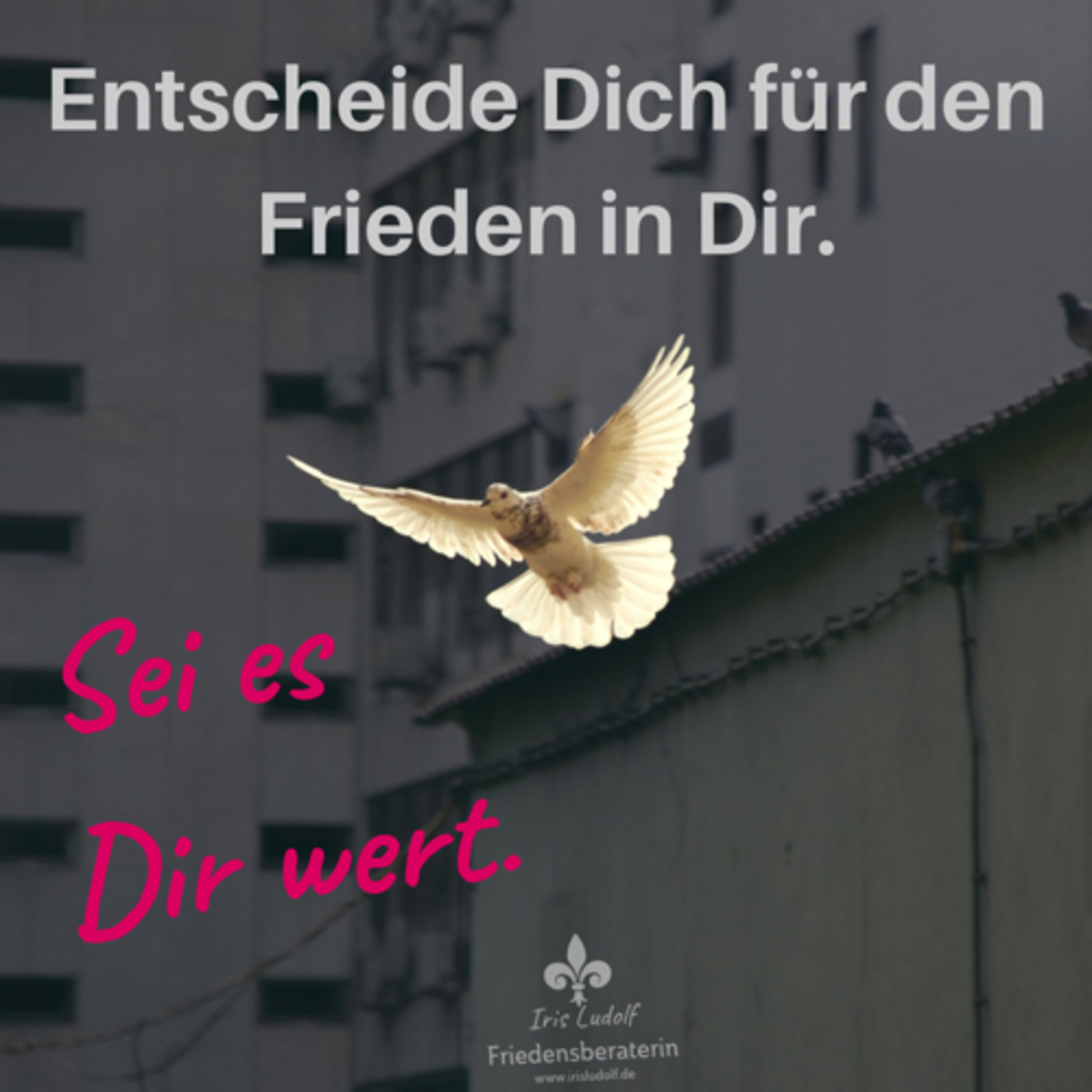 Sei es Dir wert. Berührende Worte für Deine Seele.