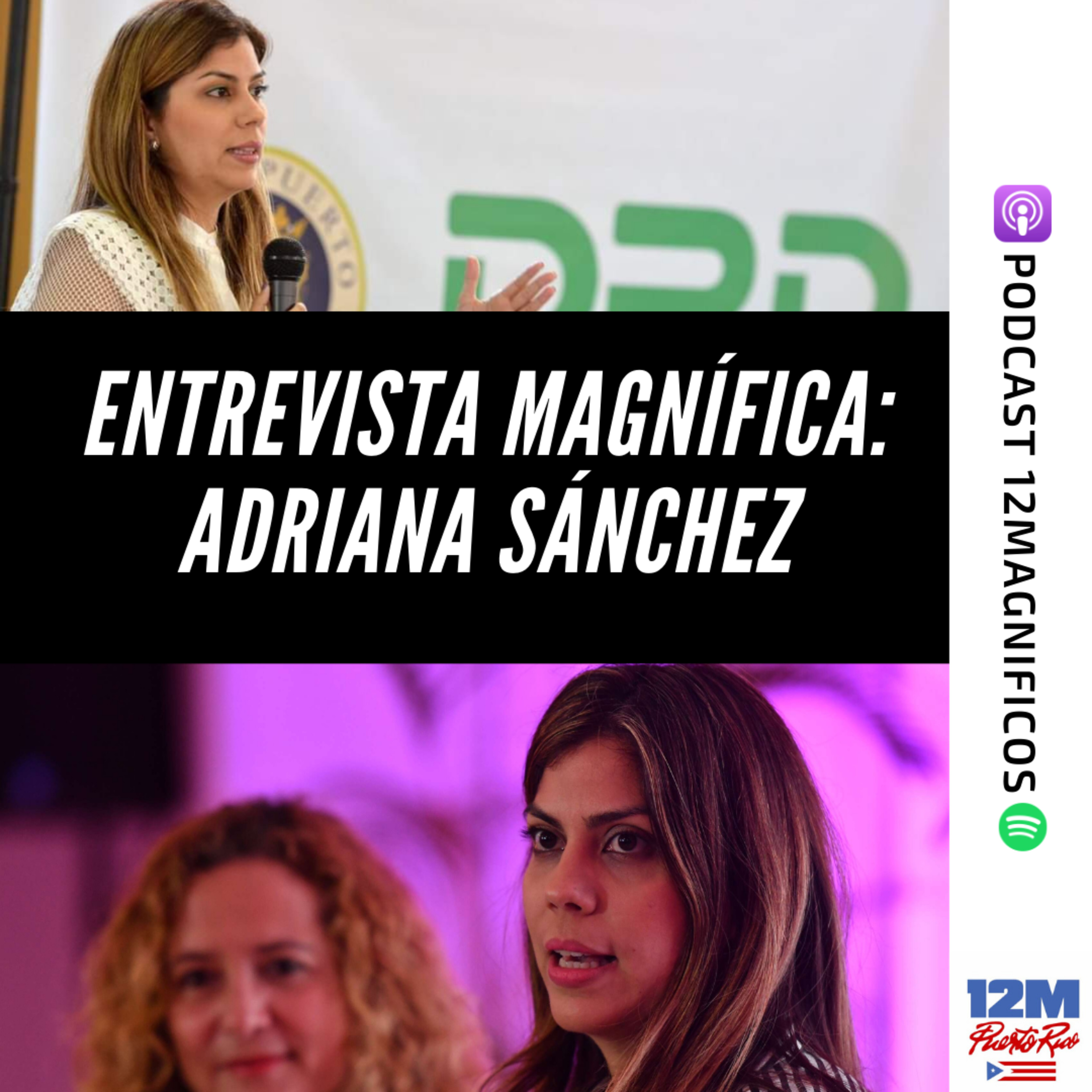 Portada de 12 Magnificos