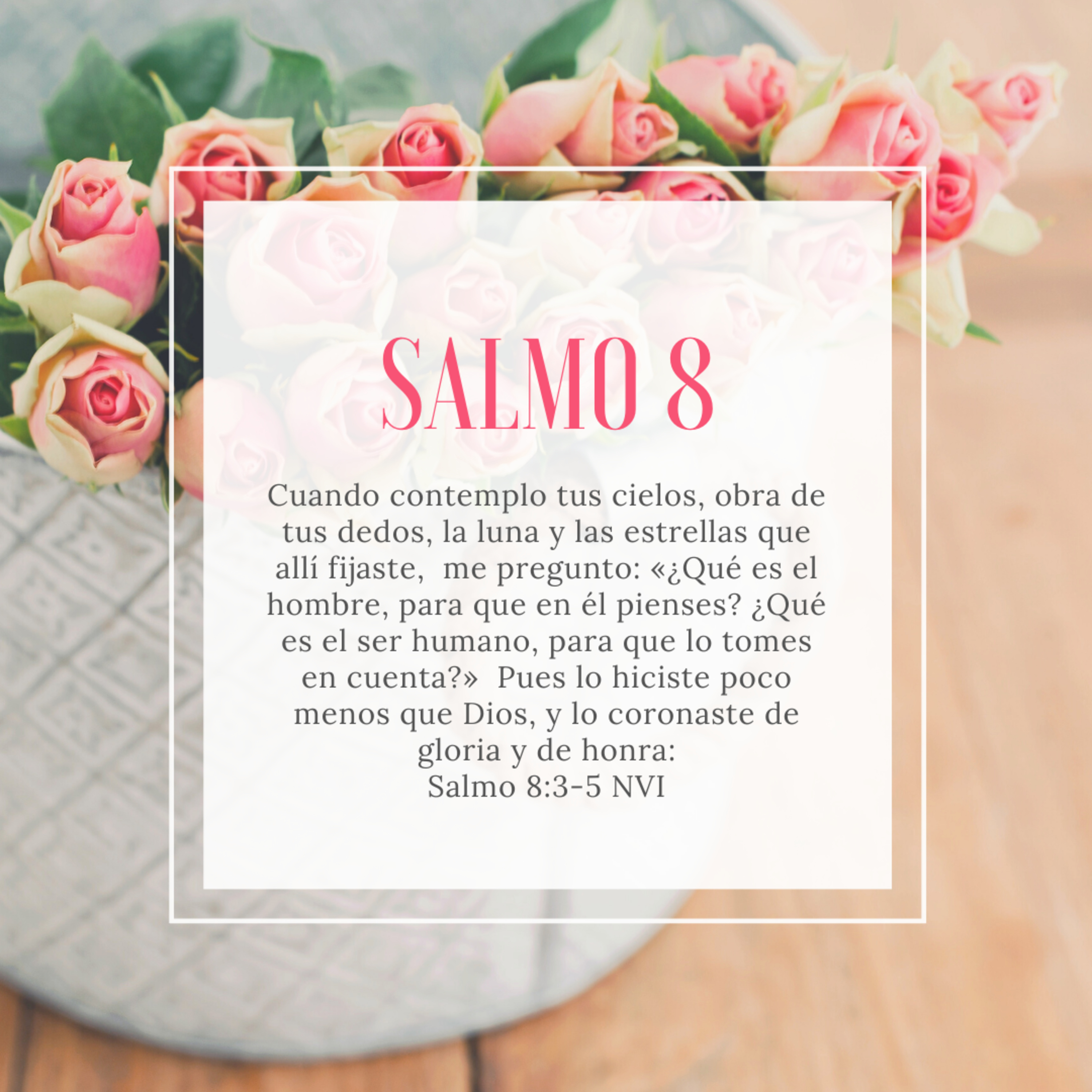 With Love By Caro Bravo
