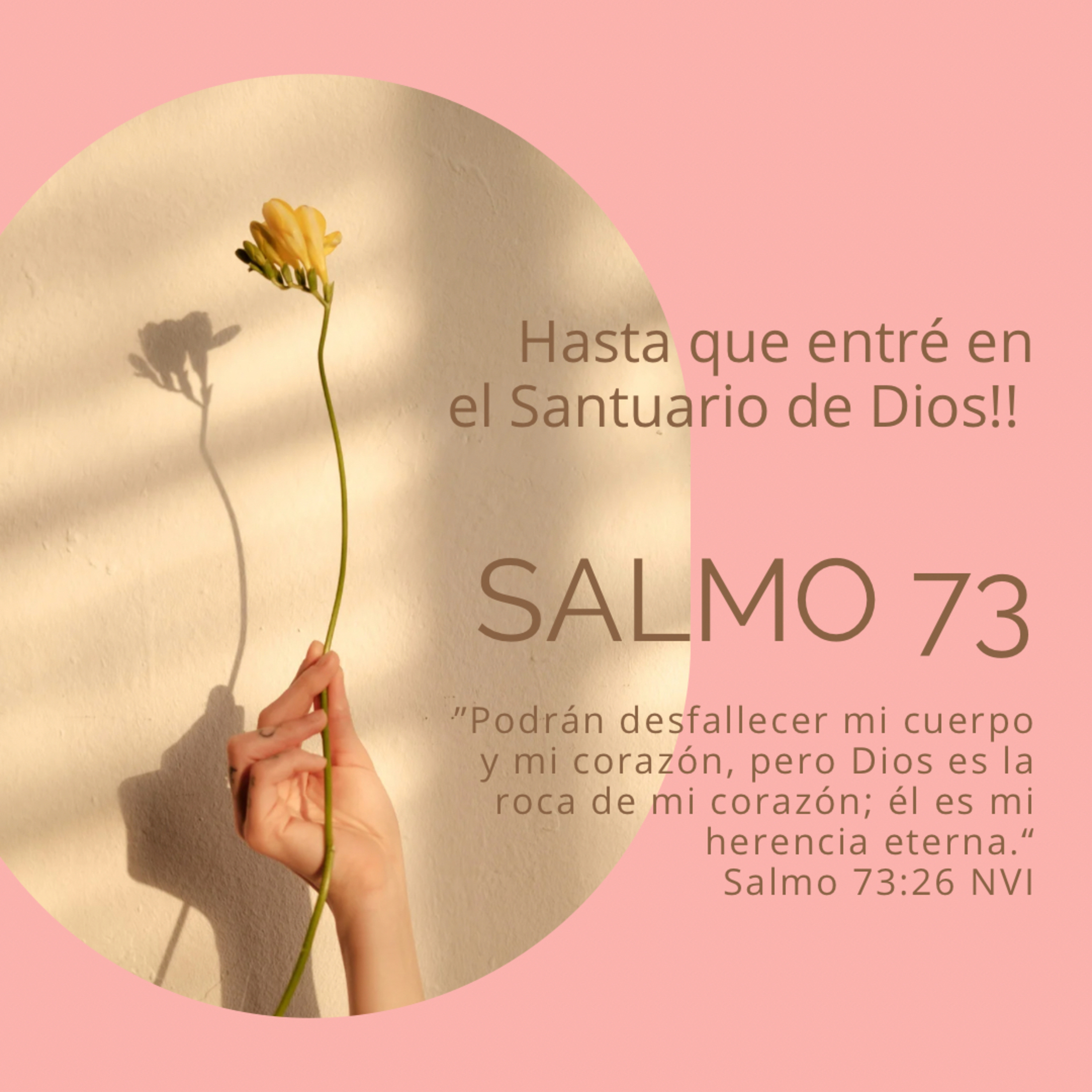 Salmo 73 “Hasta que entré en el Santuario de Dios” episode artwork
