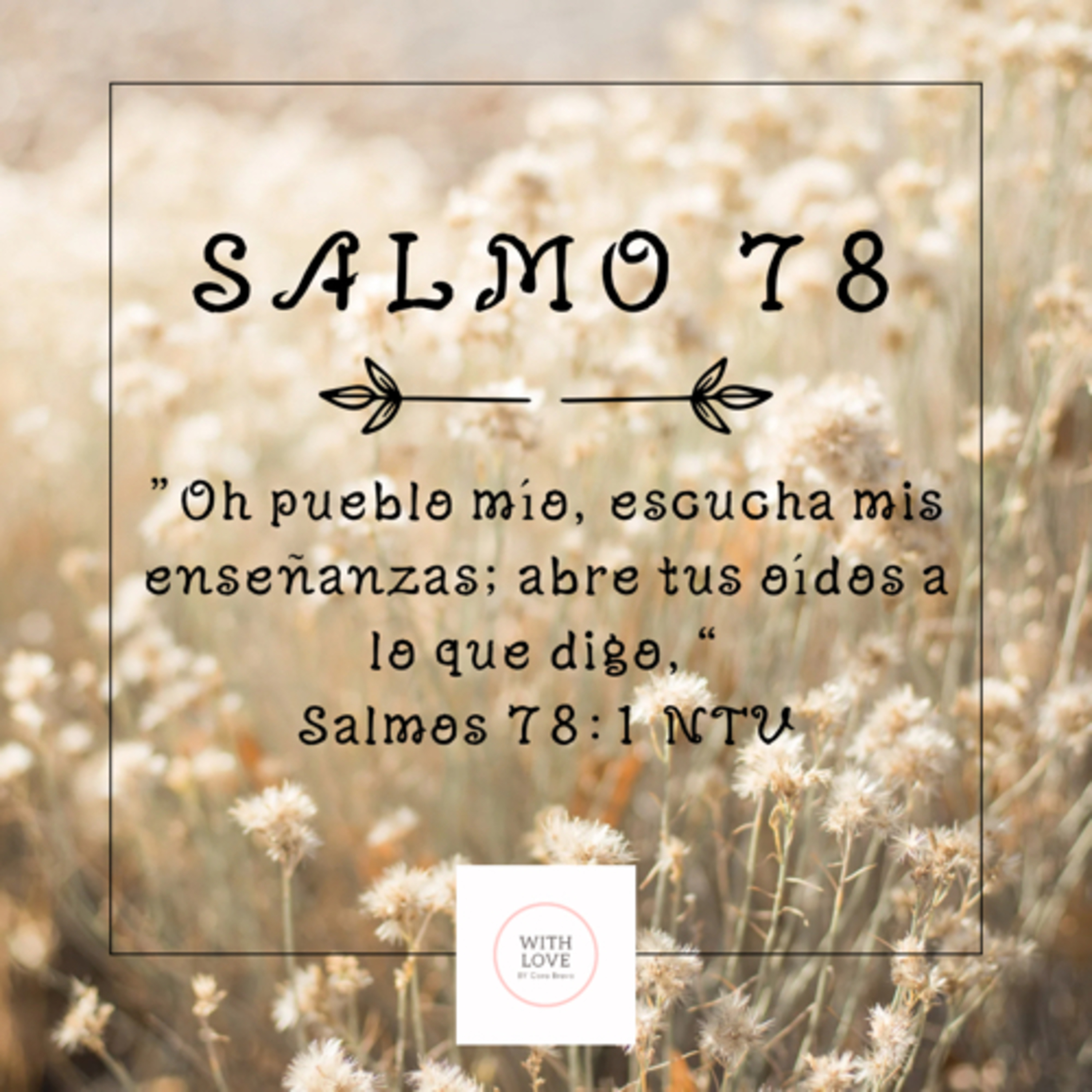 Salmo 78 “La Vos del Buen Pastor” episode artwork