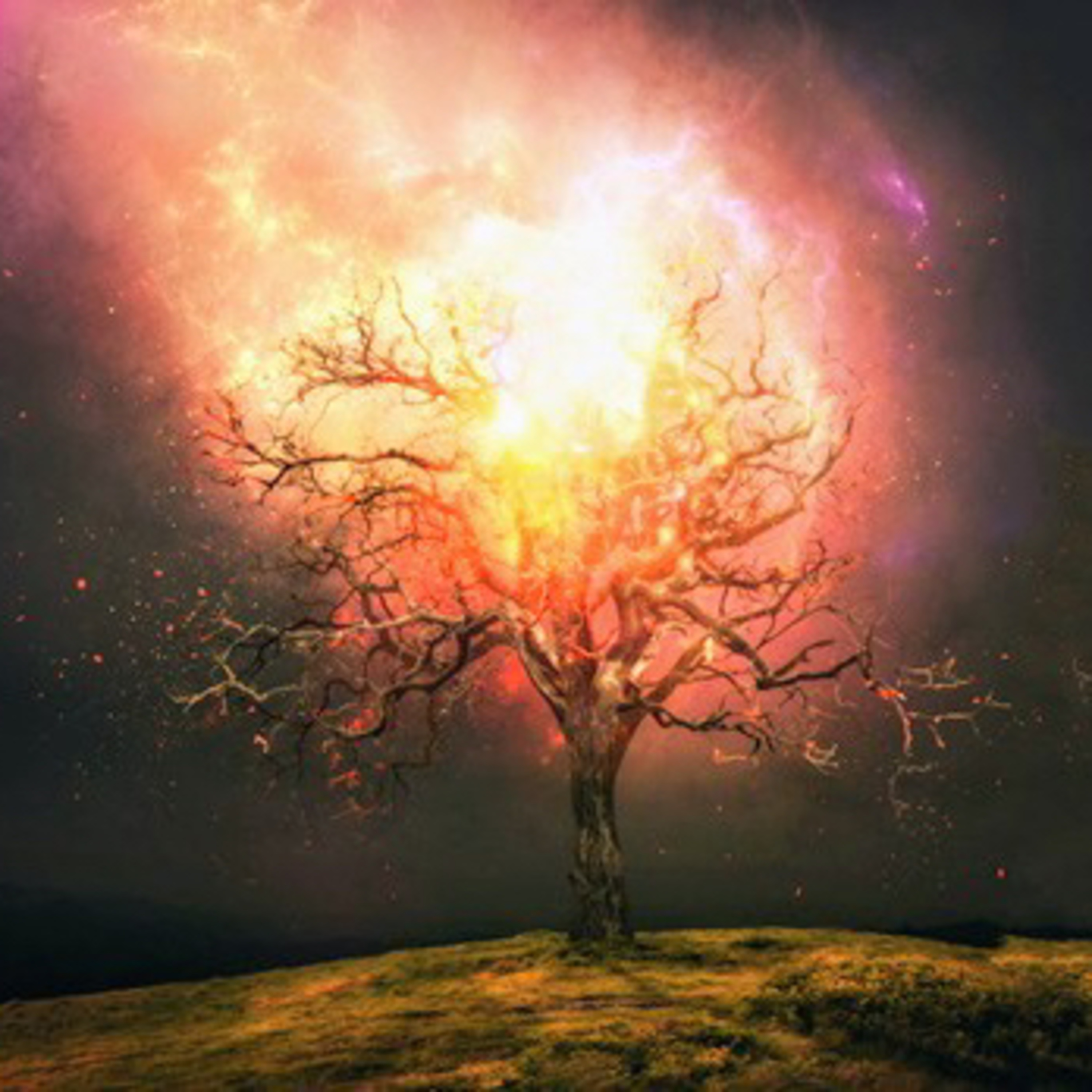 The Burning Bush Experence episode artwork
