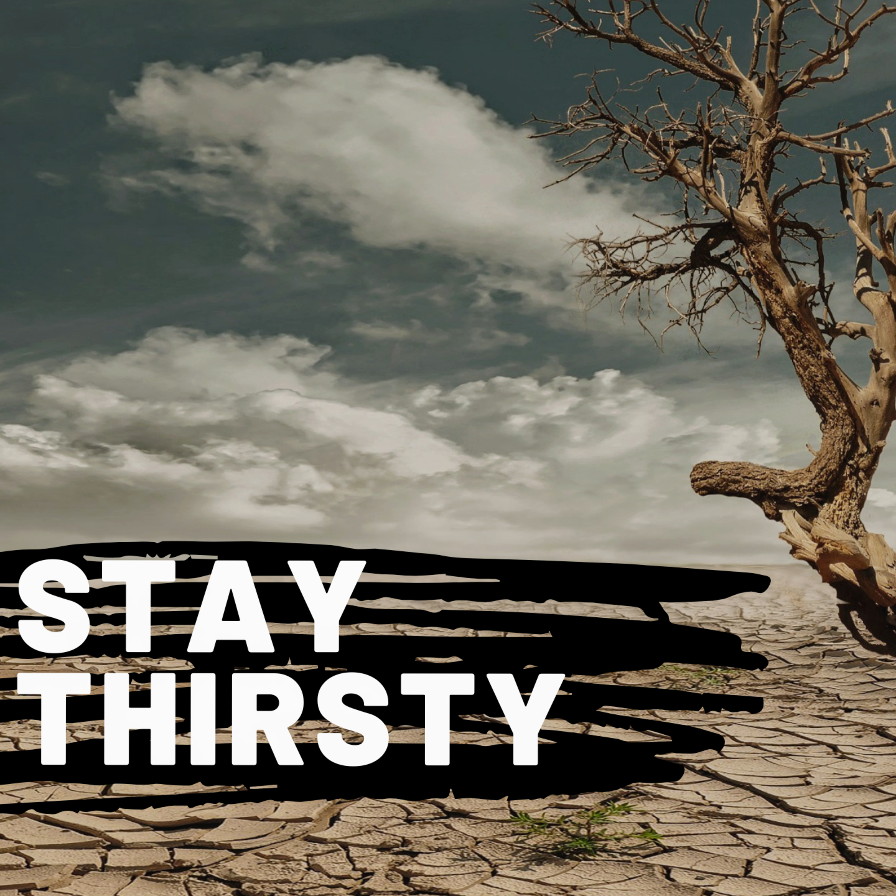 Stay Thirsty  episode artwork