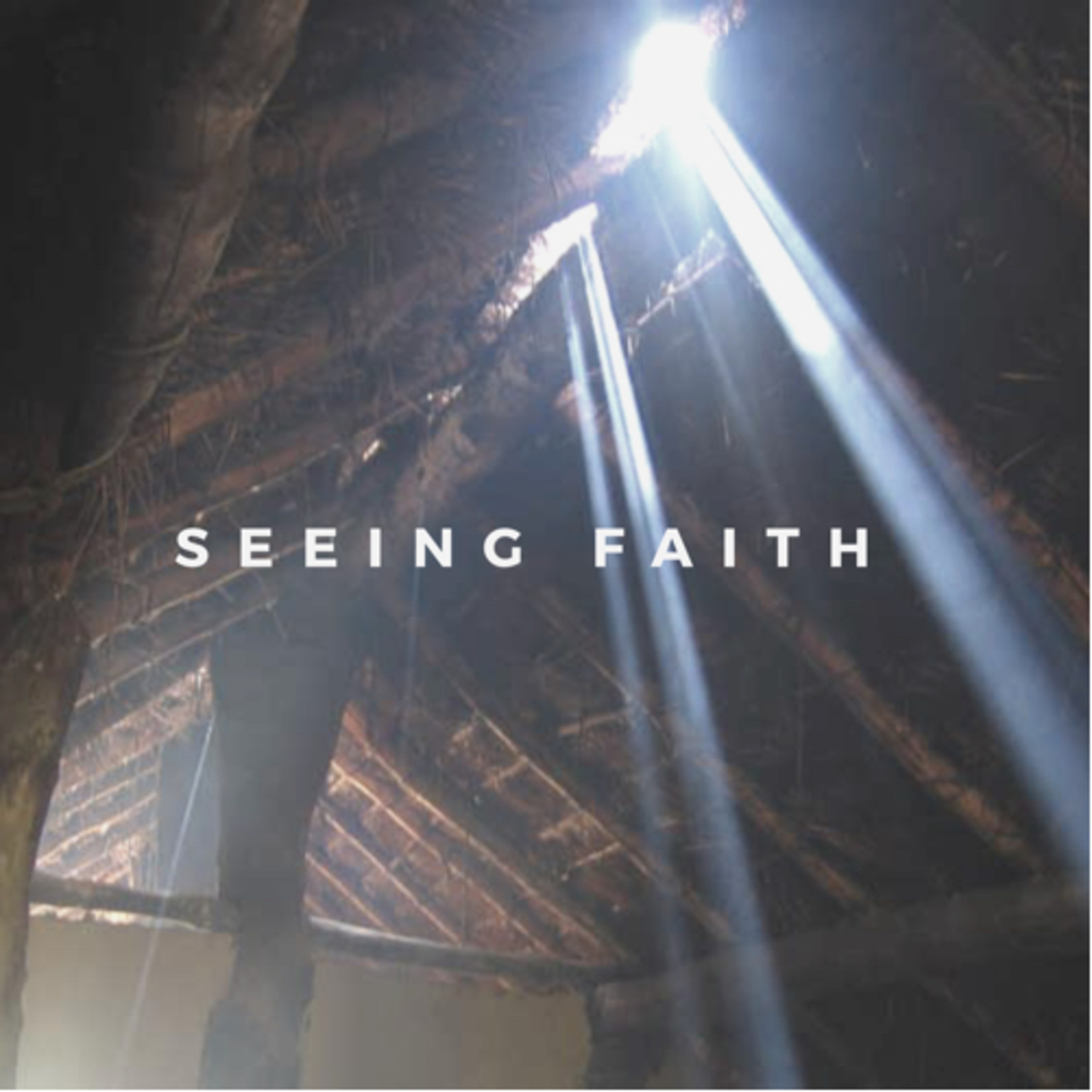 Seeing Faith  episode artwork