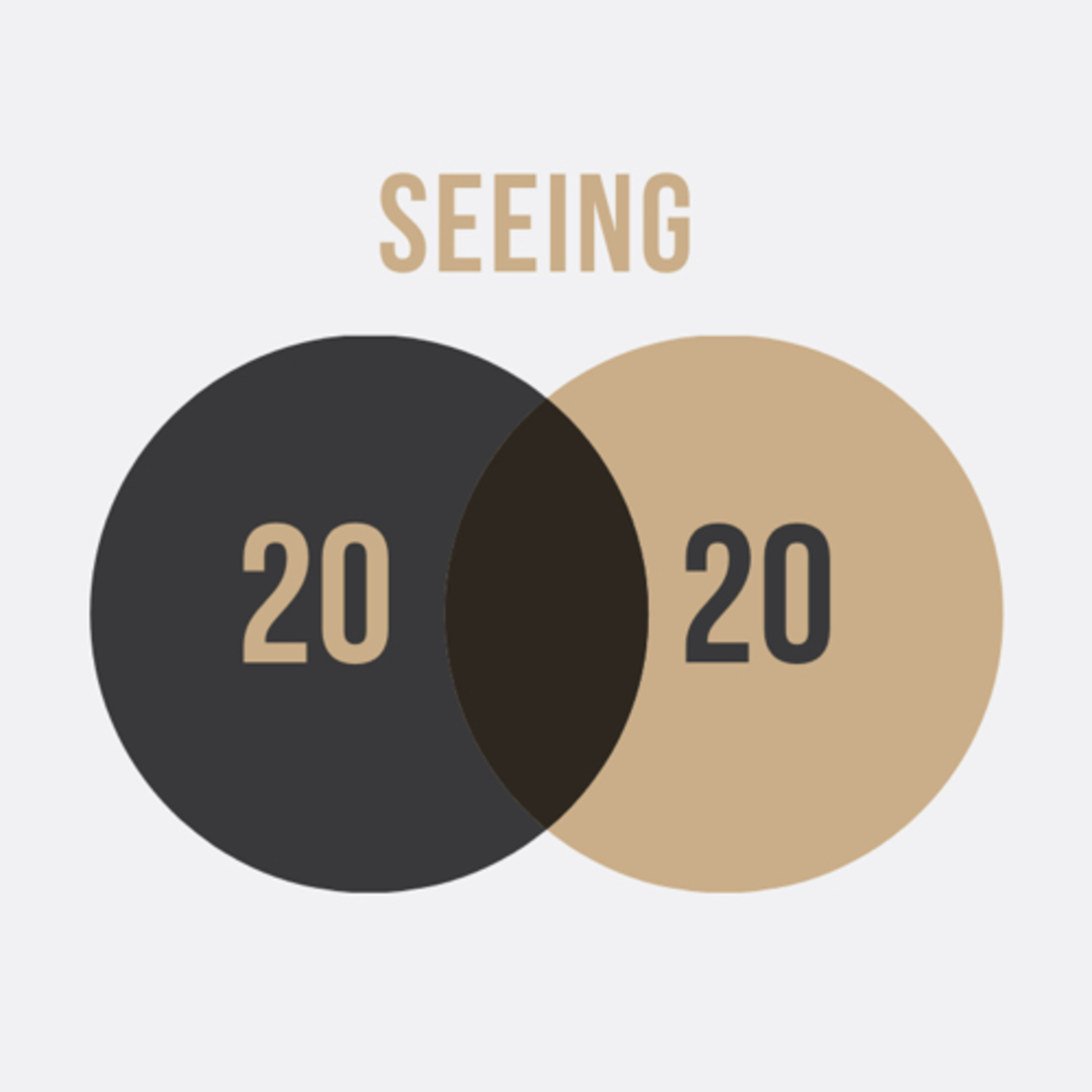 Seeing 2020 episode artwork
