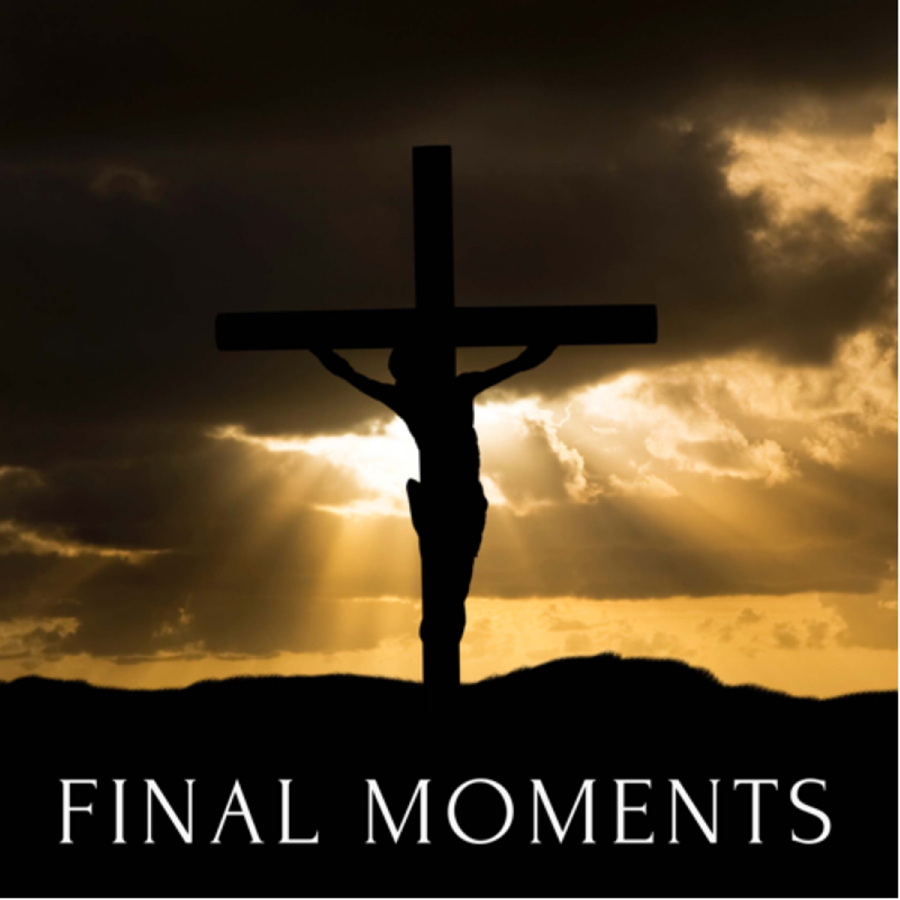 Final Moments  episode artwork
