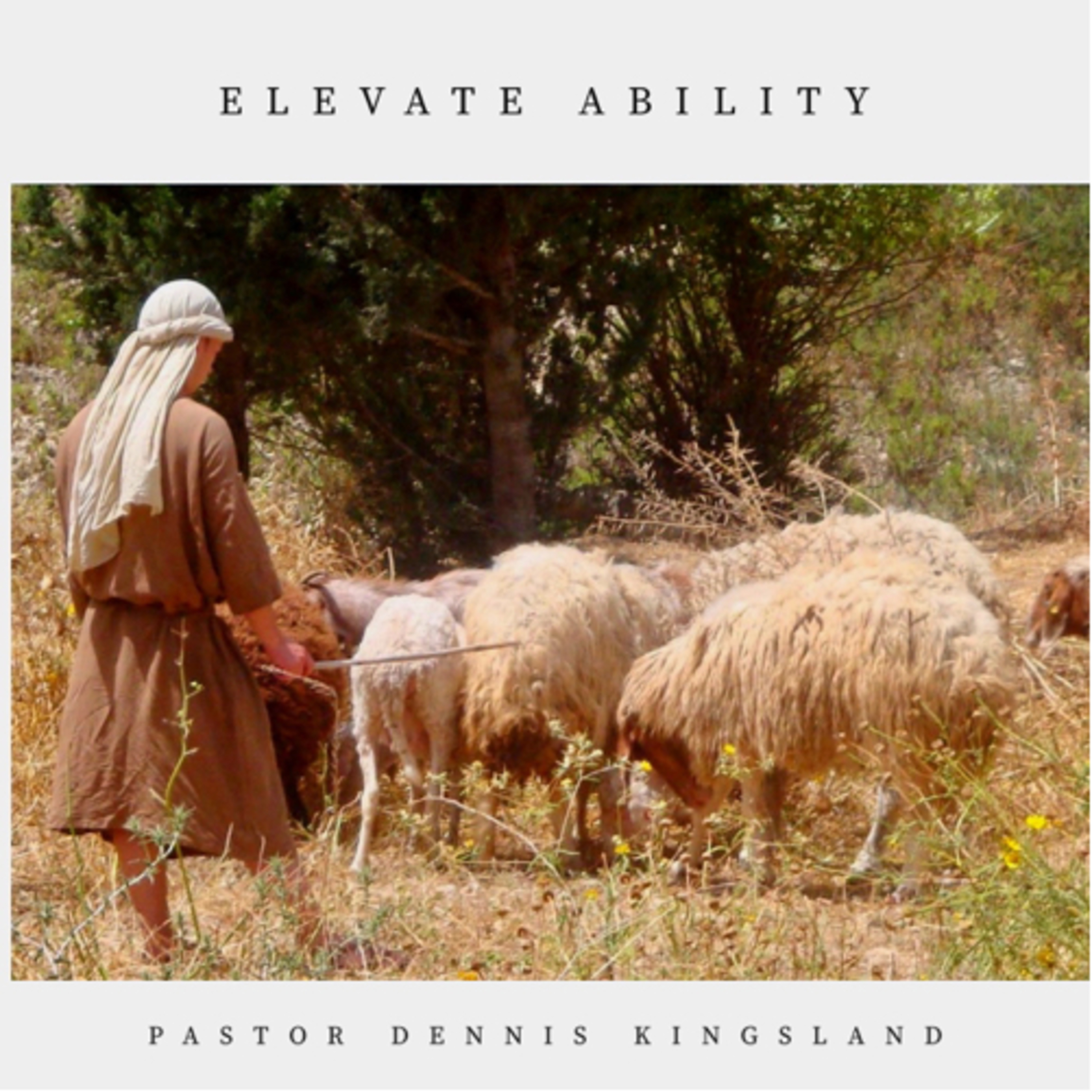 Elevate Ability  episode artwork