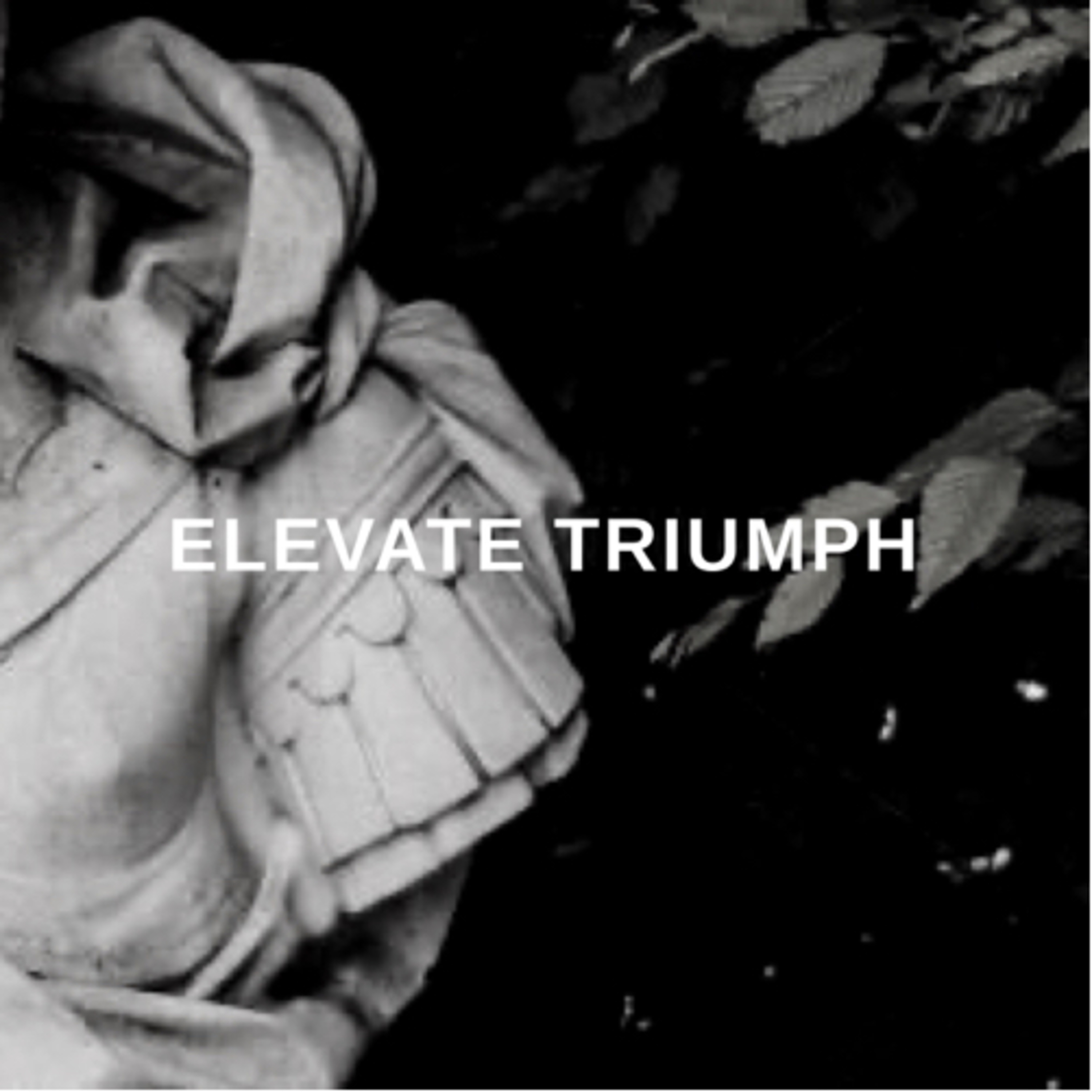 Elevate Triumph  episode artwork