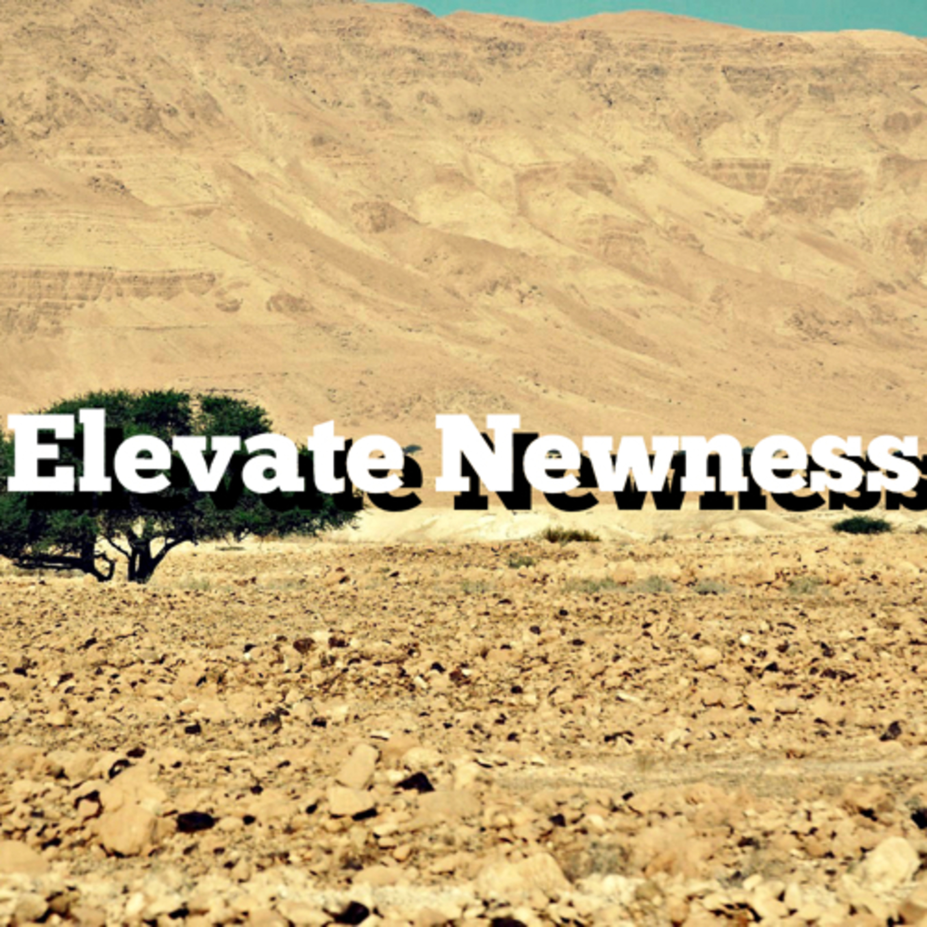 Elevate Newness	 episode artwork