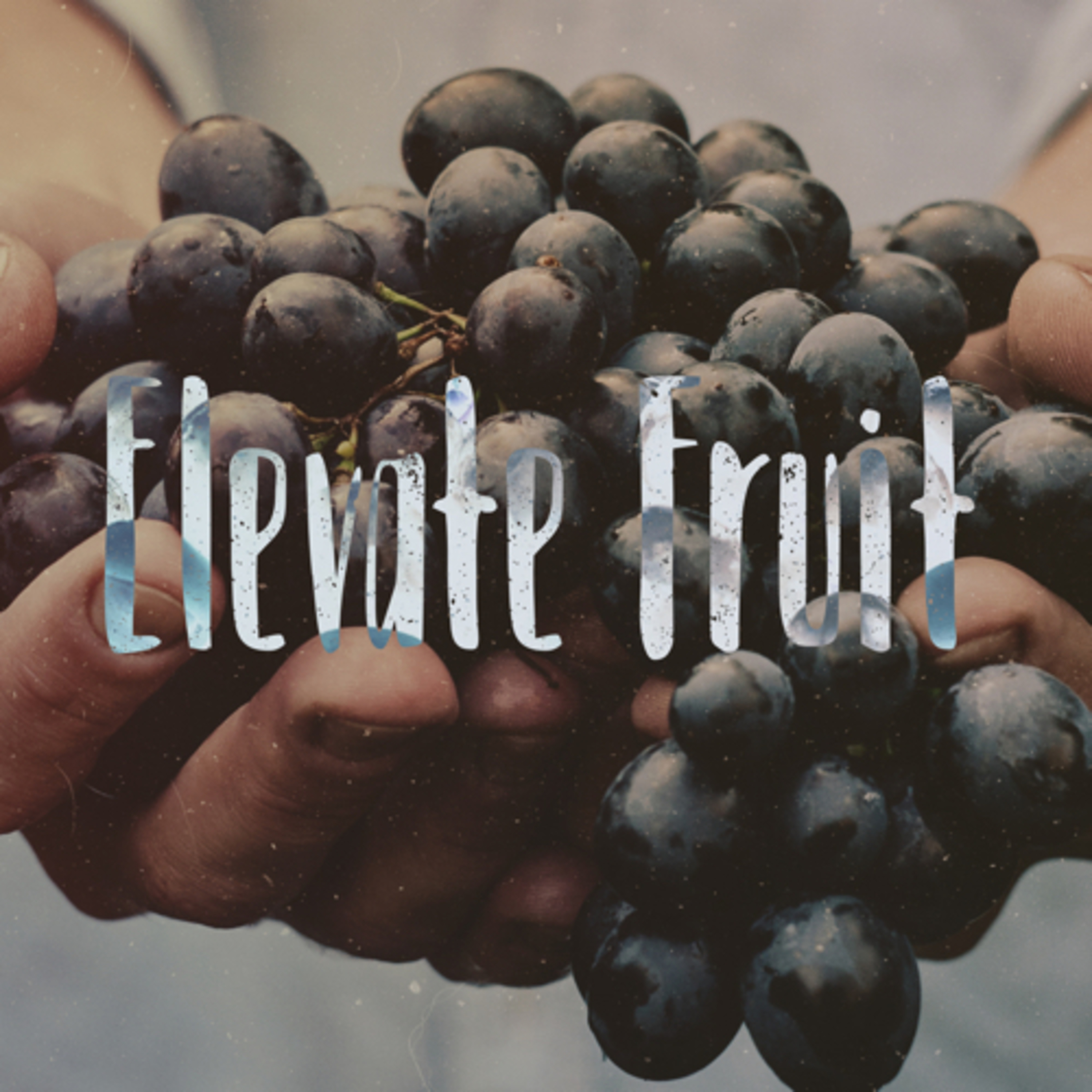 Elevate Fruit  episode artwork