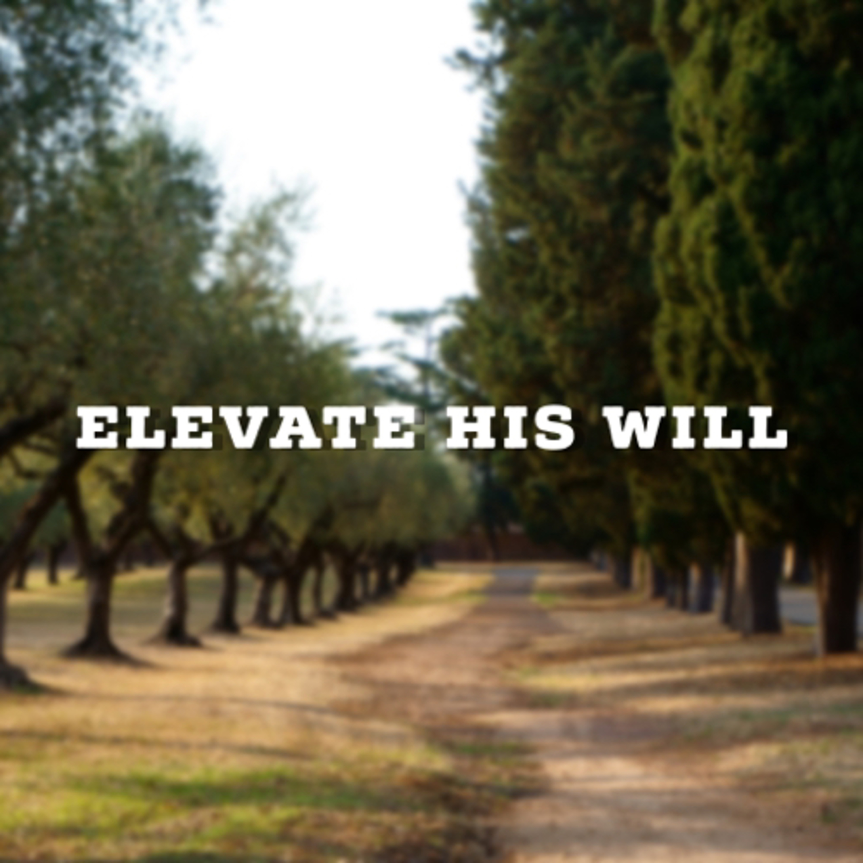 Elevate His Will  episode artwork