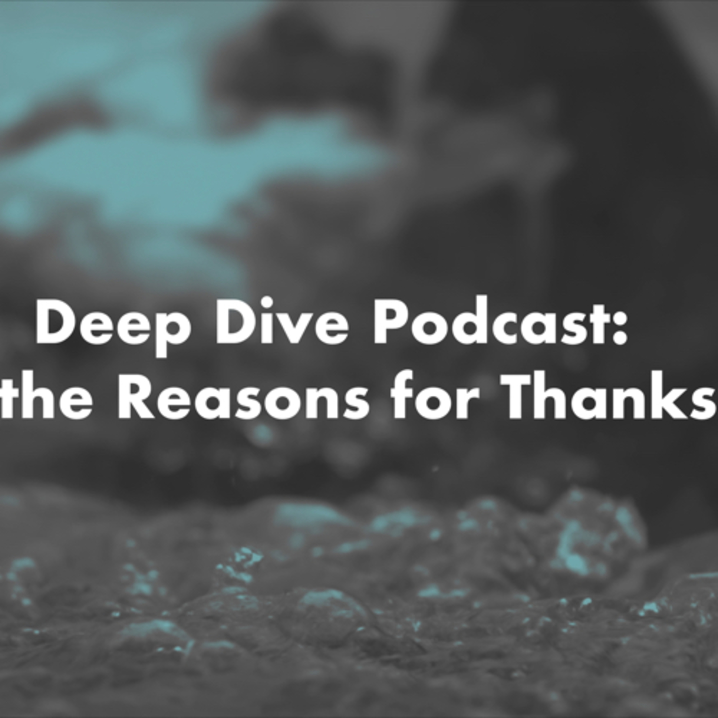 Deep Dive: Elevate the Reasons for Thanksgiving  episode artwork