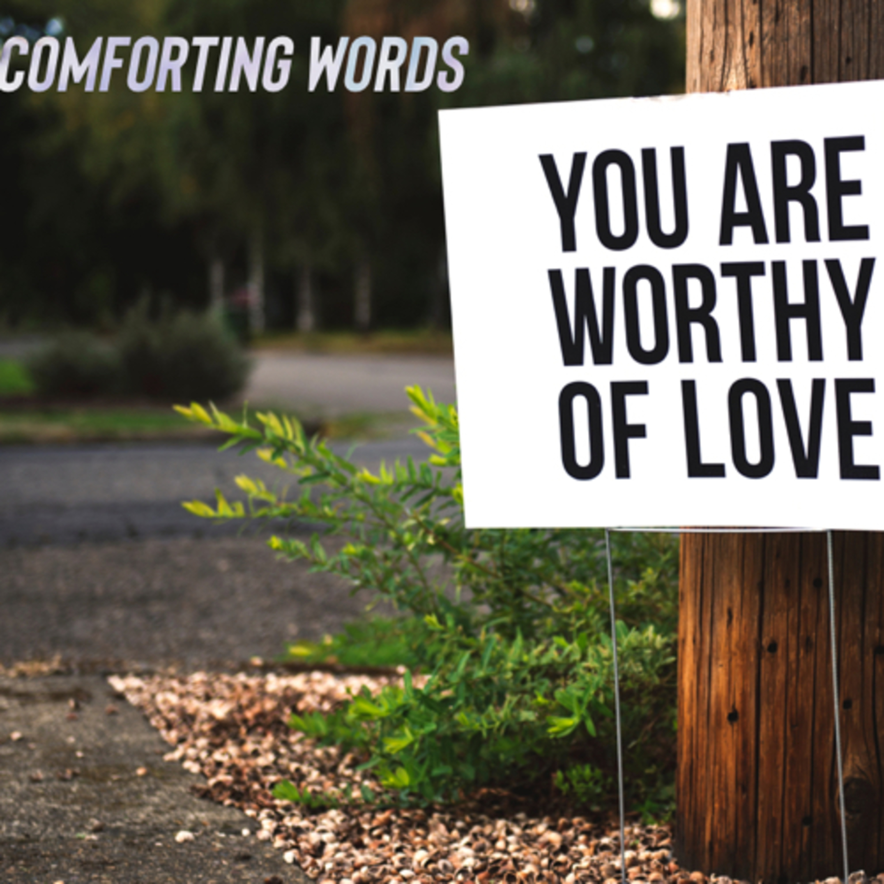 Comforting words  episode artwork