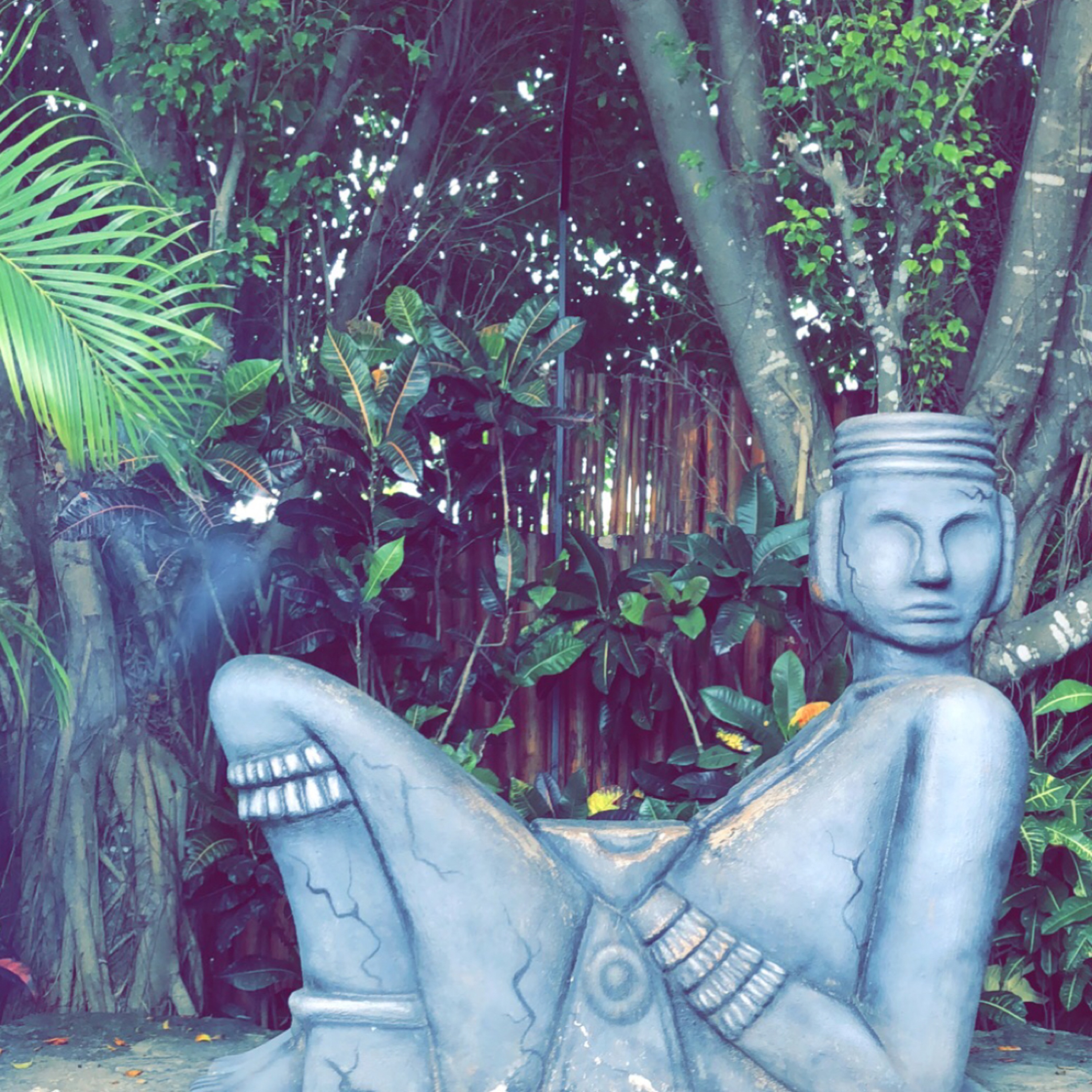 Cozumel 7/18 episode artwork