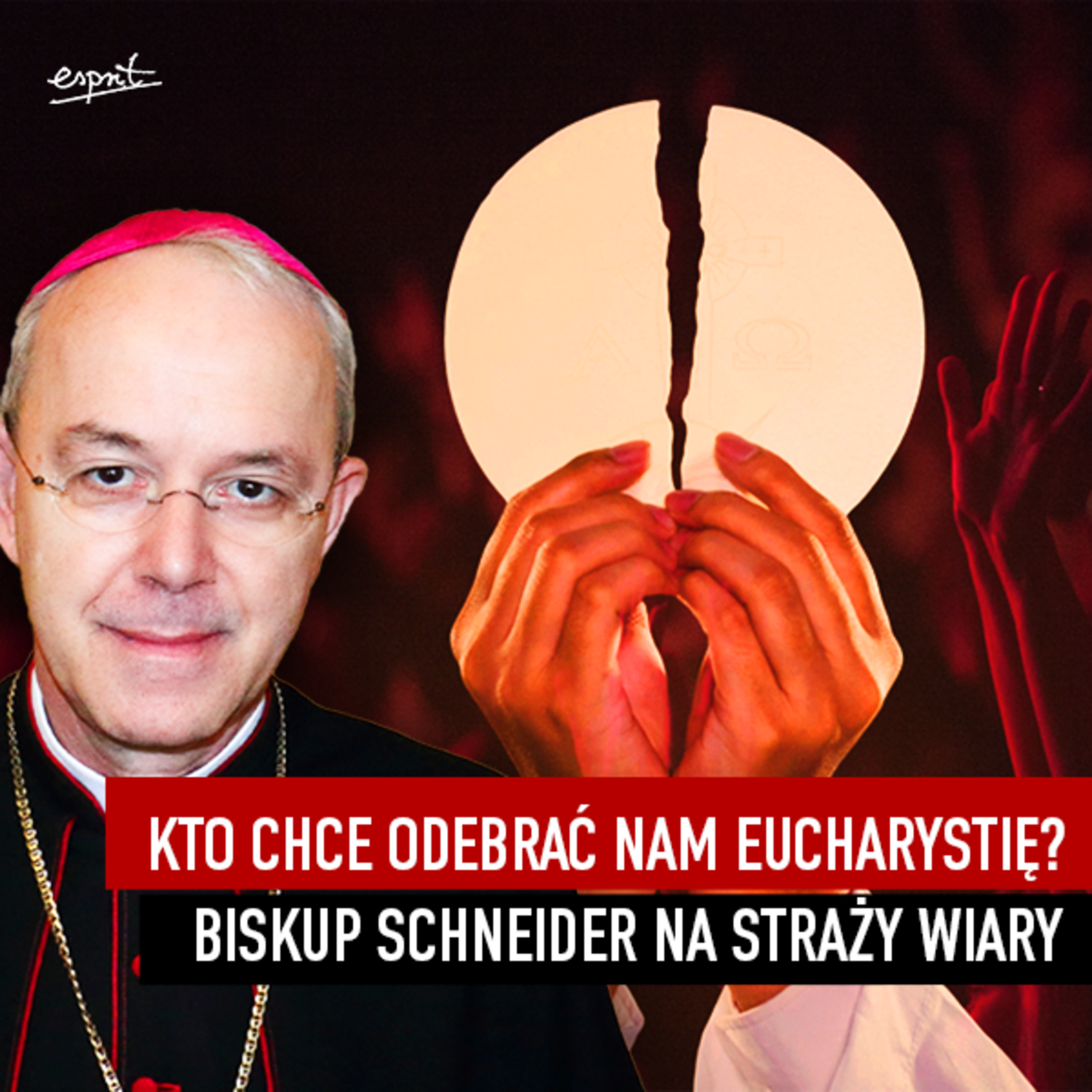 Kto chce odebrać nam Eucharystię? Biskup A. Schneider na straży wiary episode artwork
