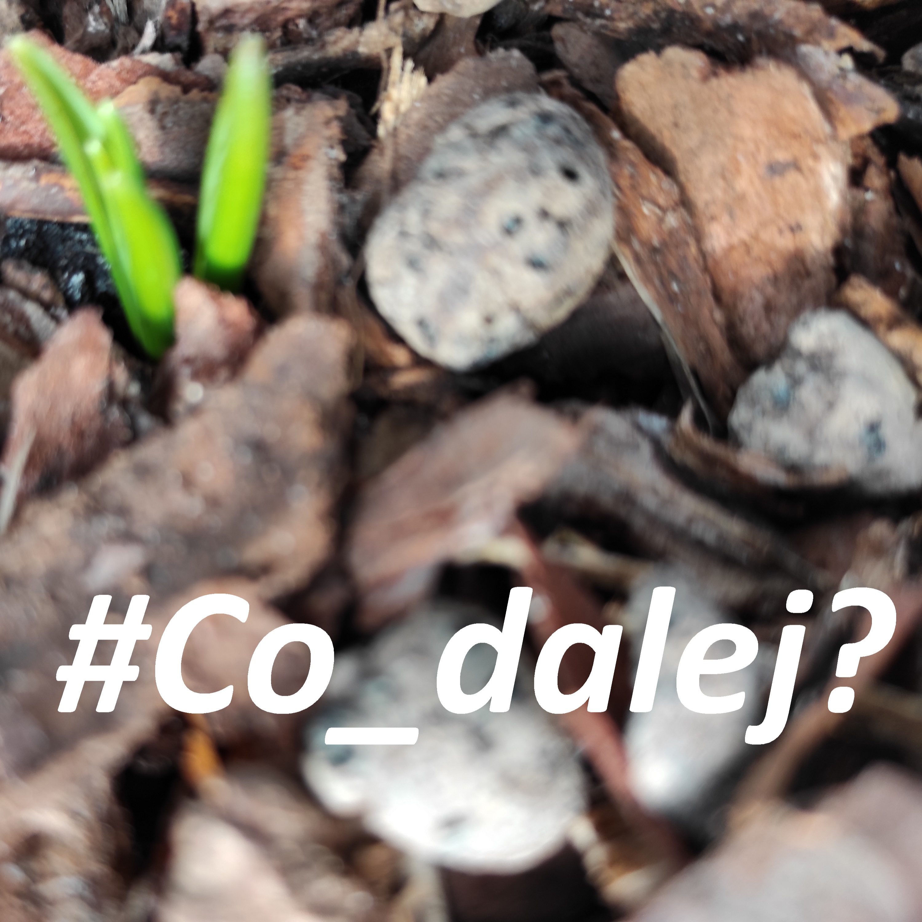 #Co_dalej?