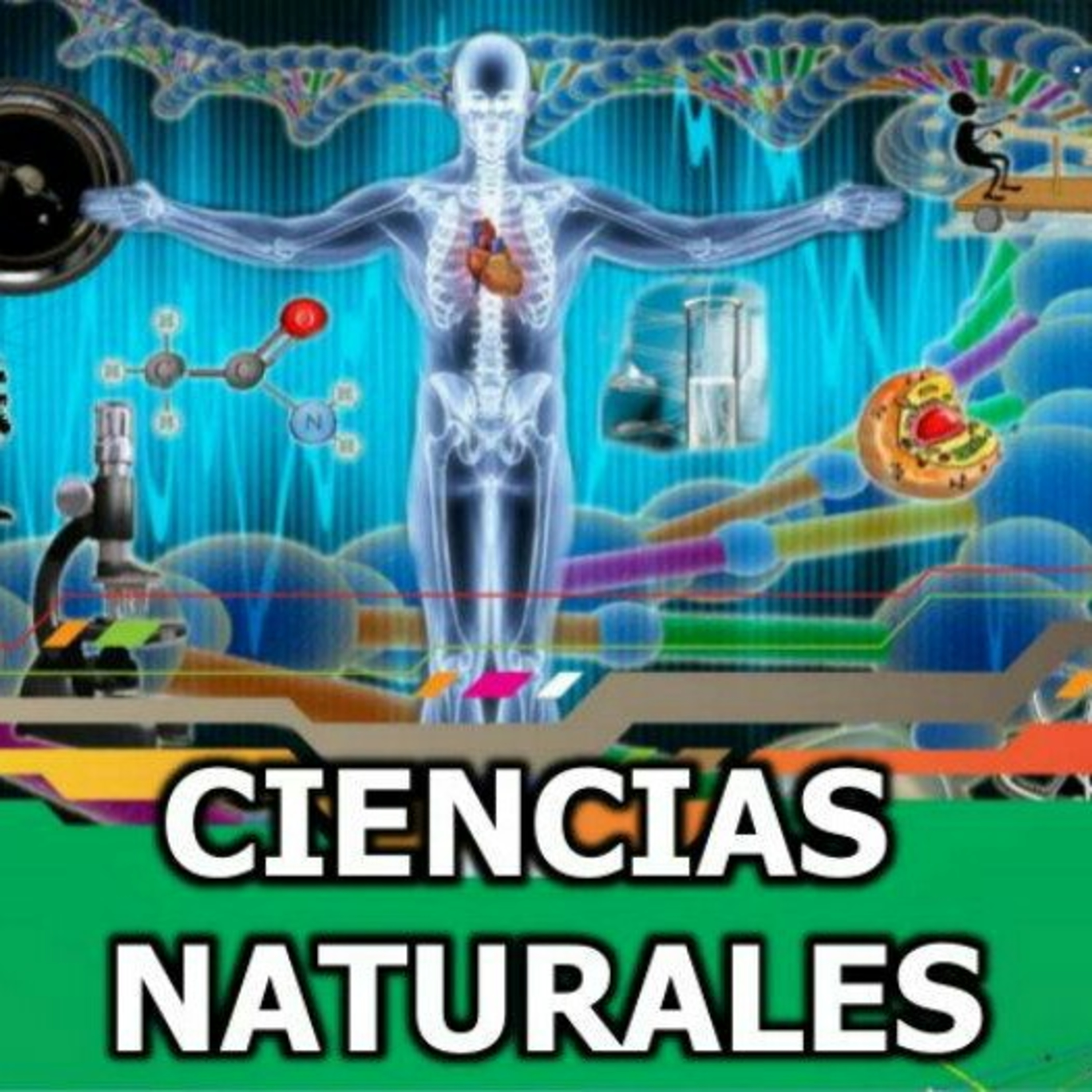 Bienvenida Grado Tercero