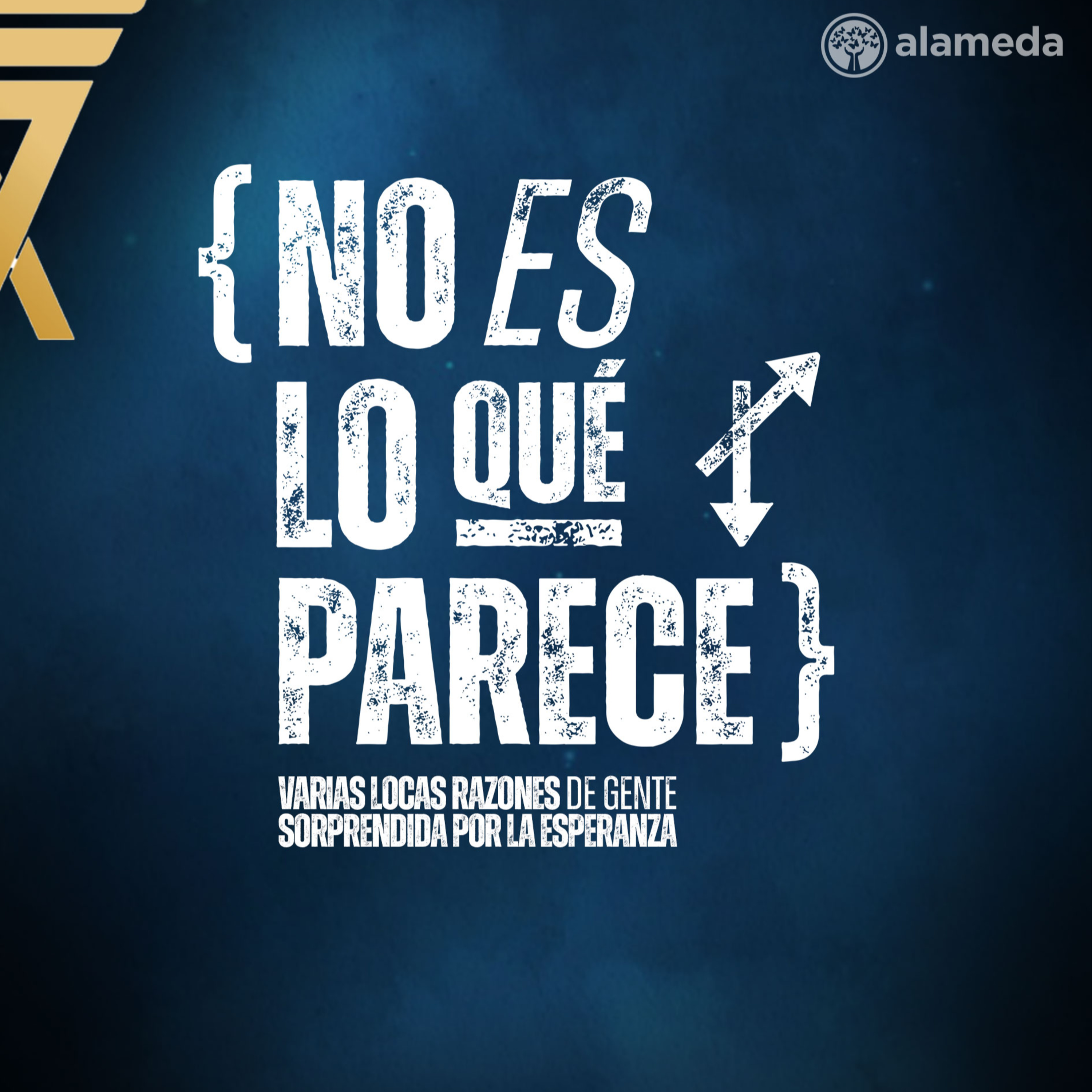 Hay otro informe! episode artwork