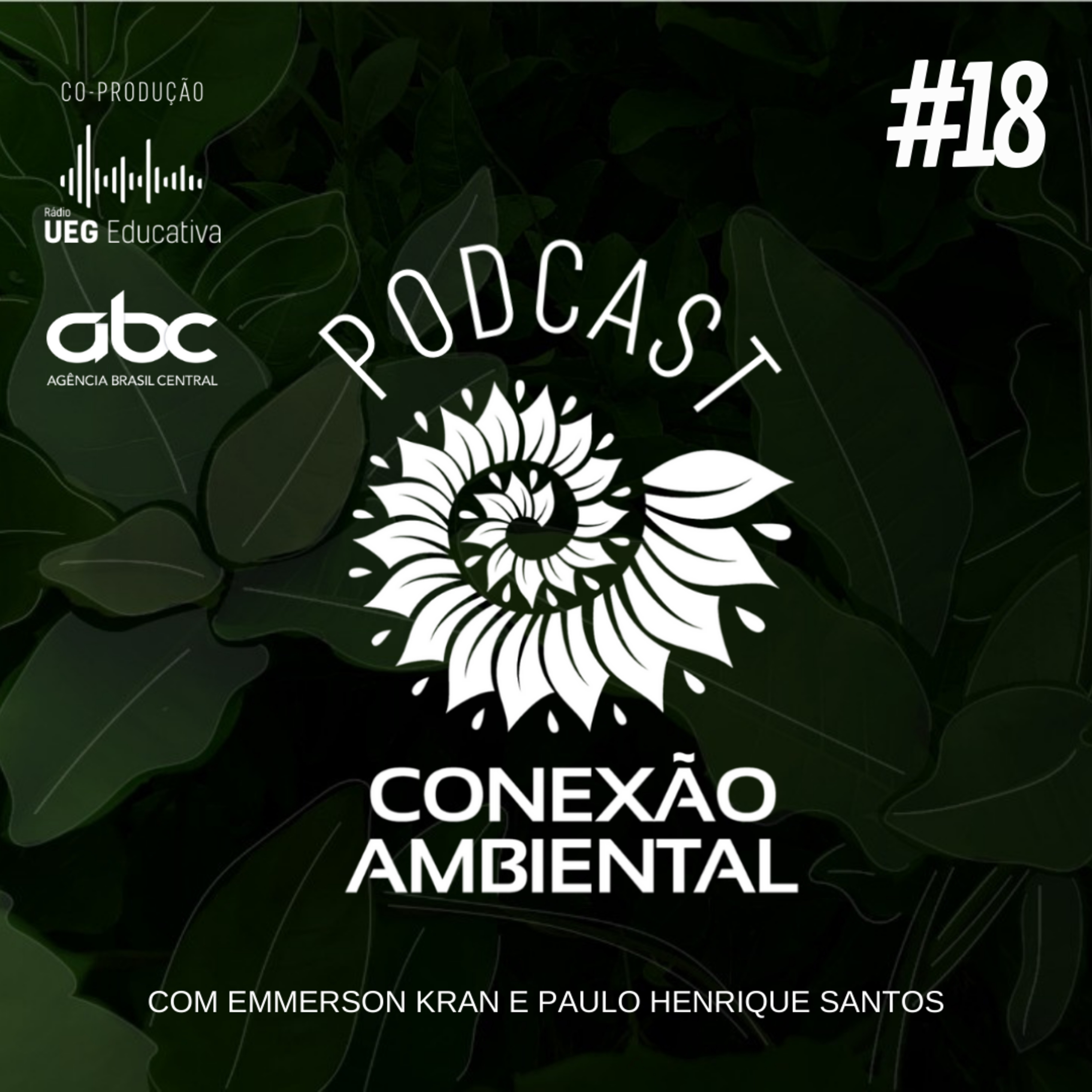 Conexão Ambiental #18 episode artwork
