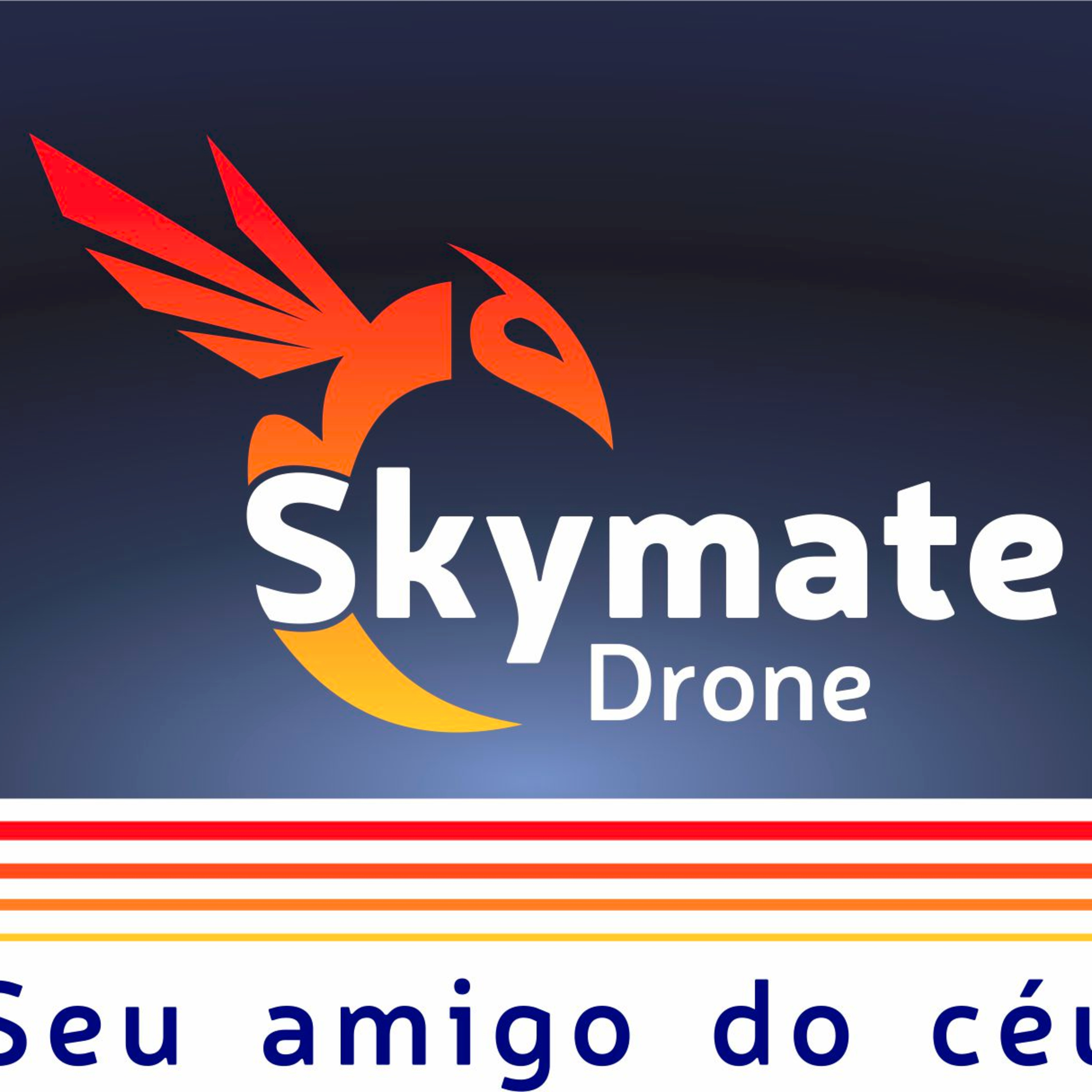 A HISTÓRIA DO DRONE