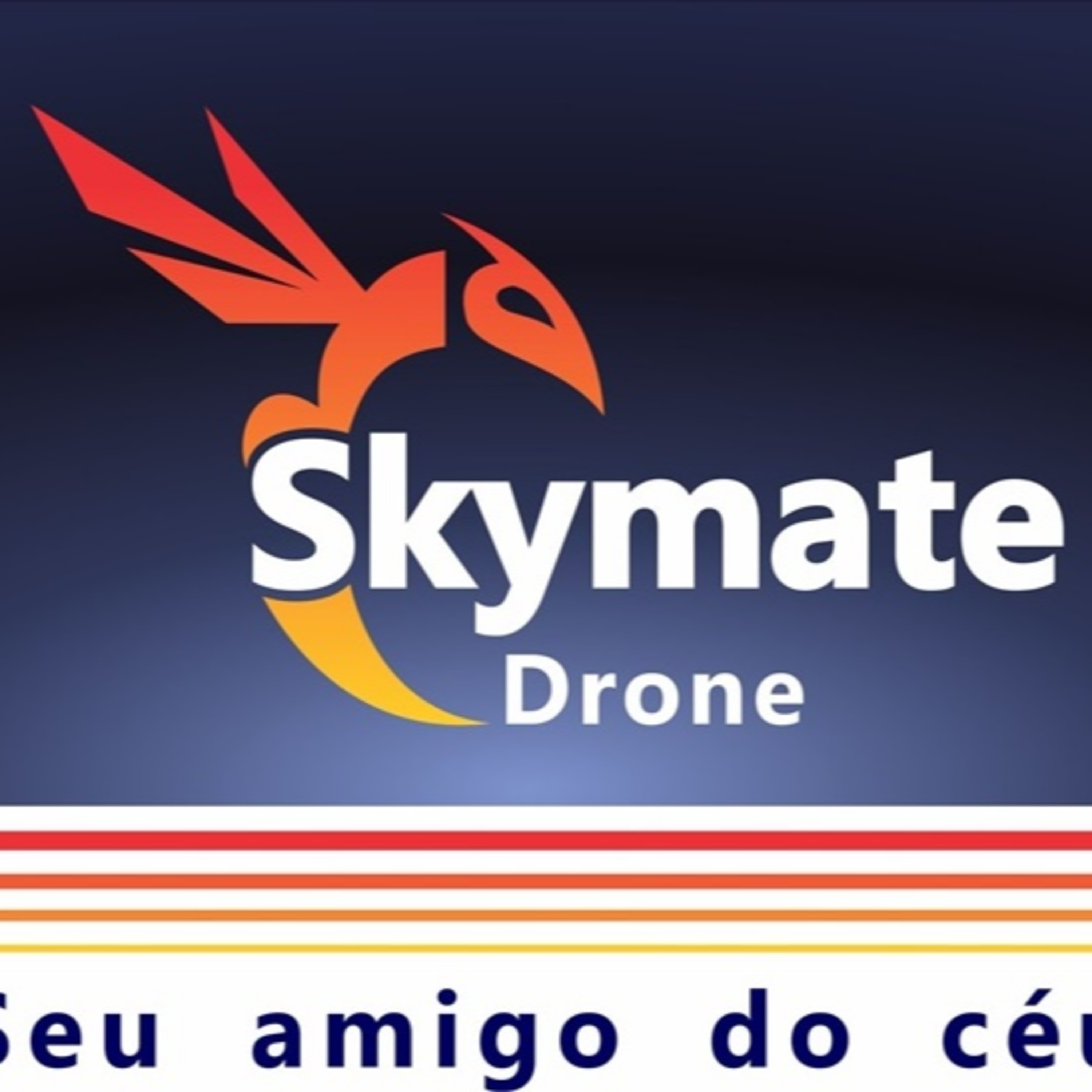 A HISTÓRIA DO DRONE