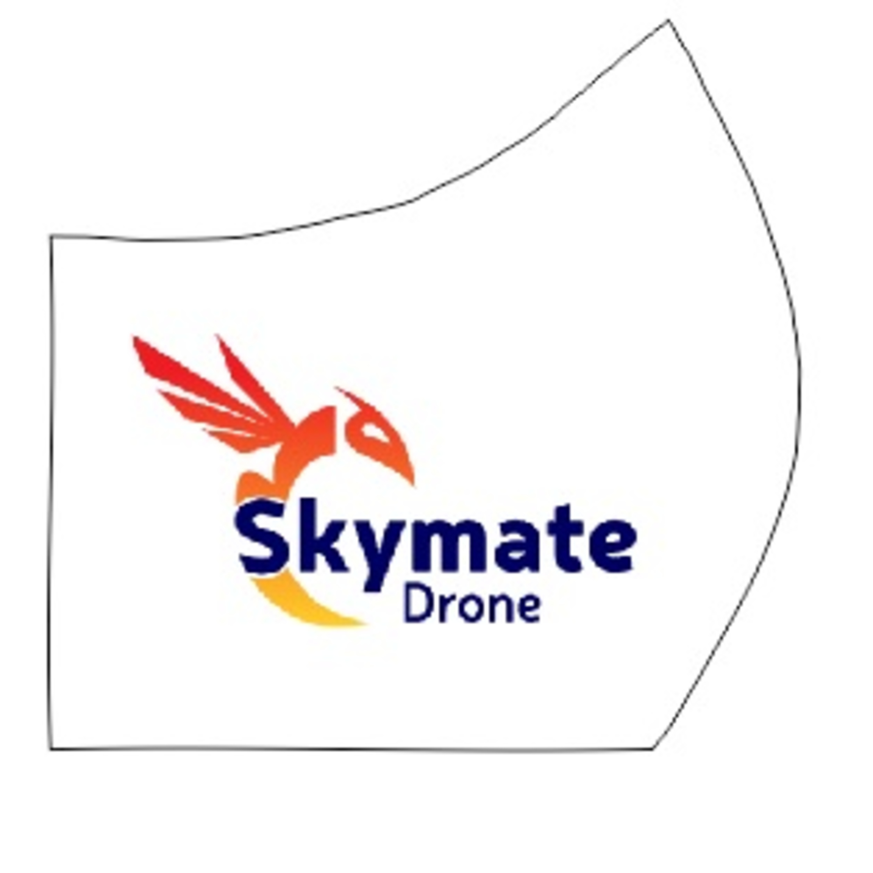 A HISTÓRIA DO DRONE