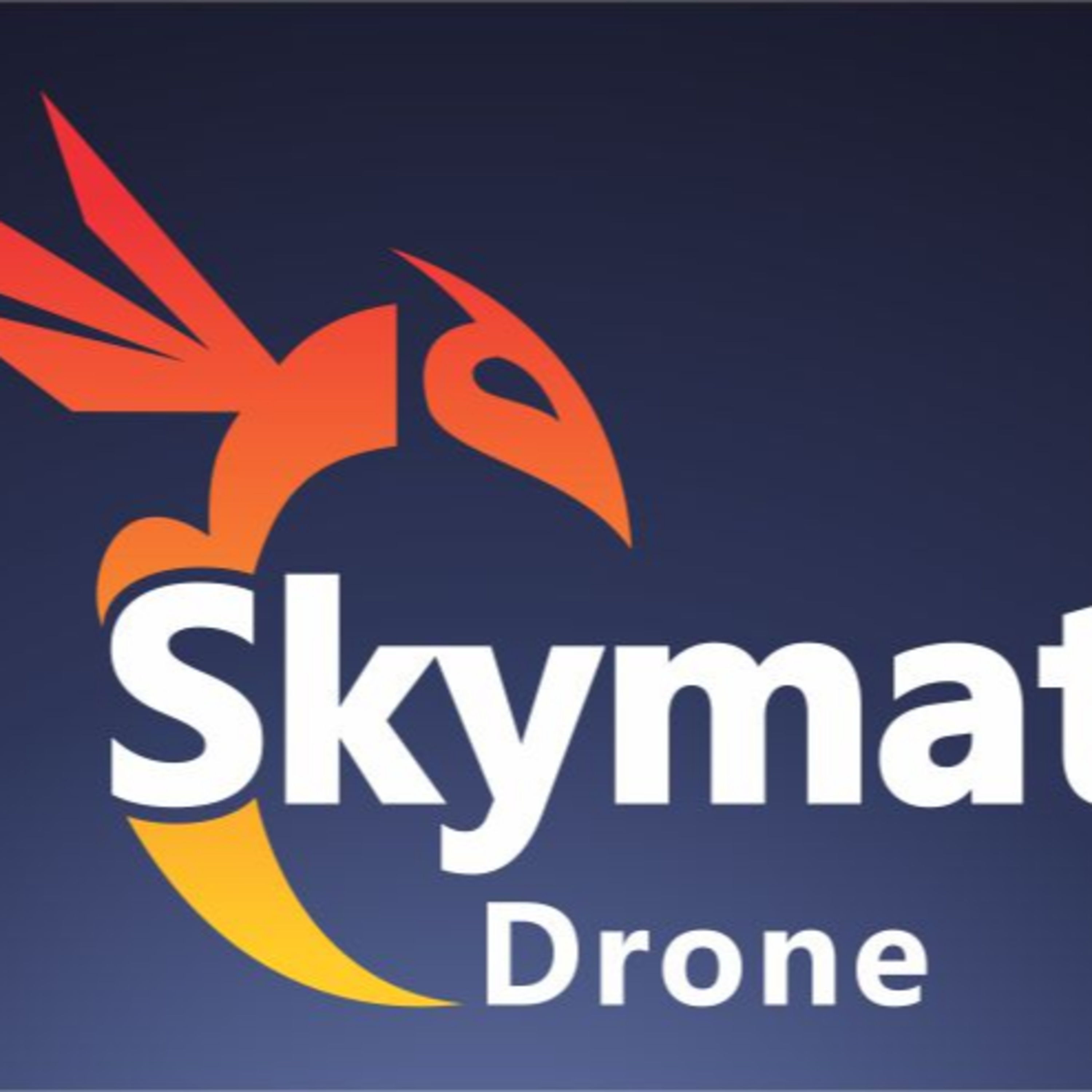 A HISTÓRIA DO DRONE