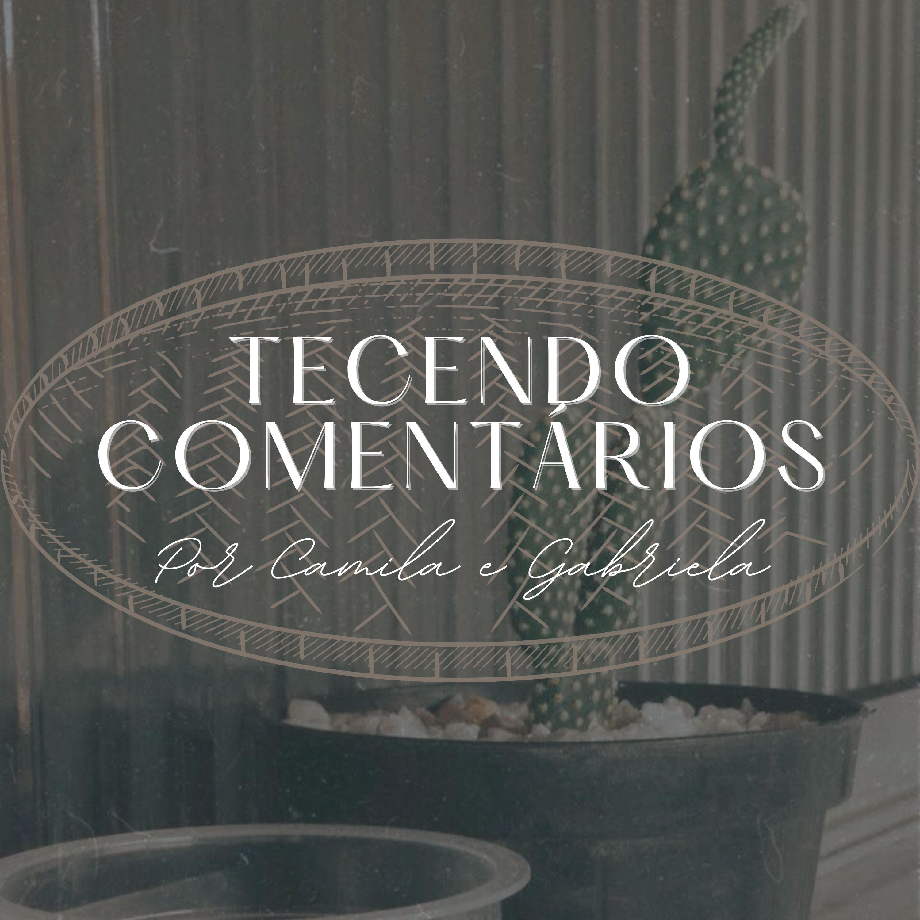 Episódios de Xenofobia Contra os Nordestinos no BBB 21 episode artwork