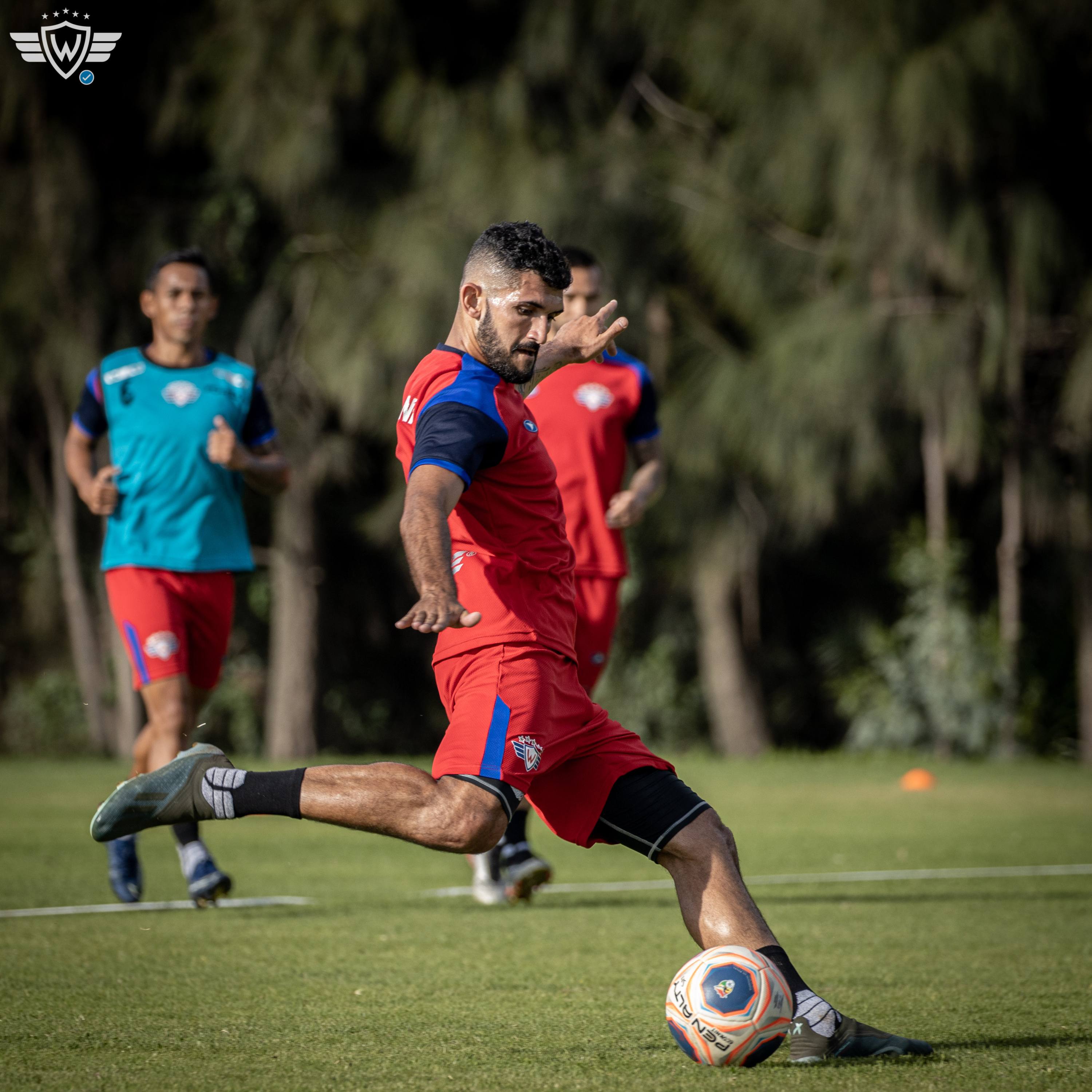Wilstermann - Día a día Aviador