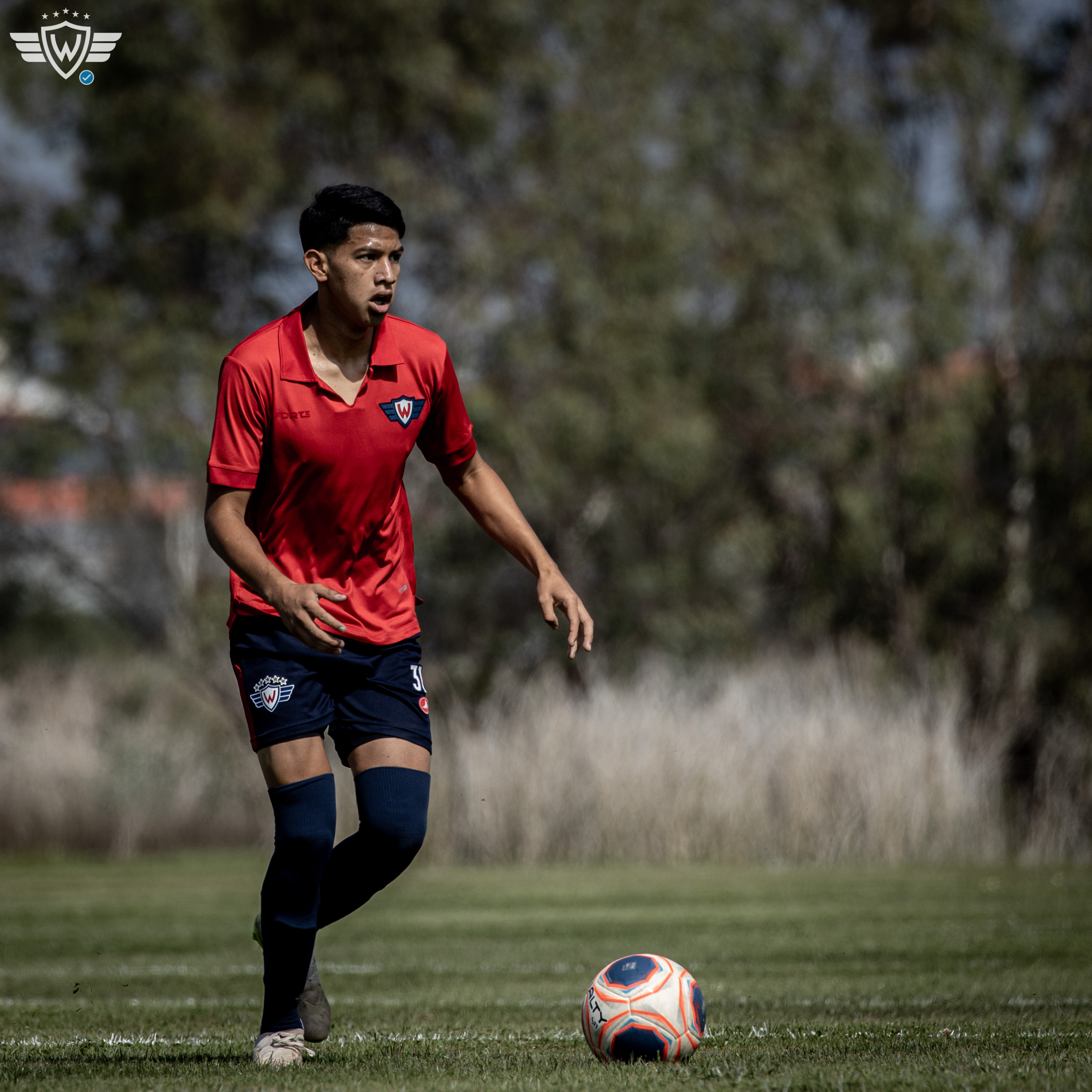 Wilstermann - Día a día Aviador