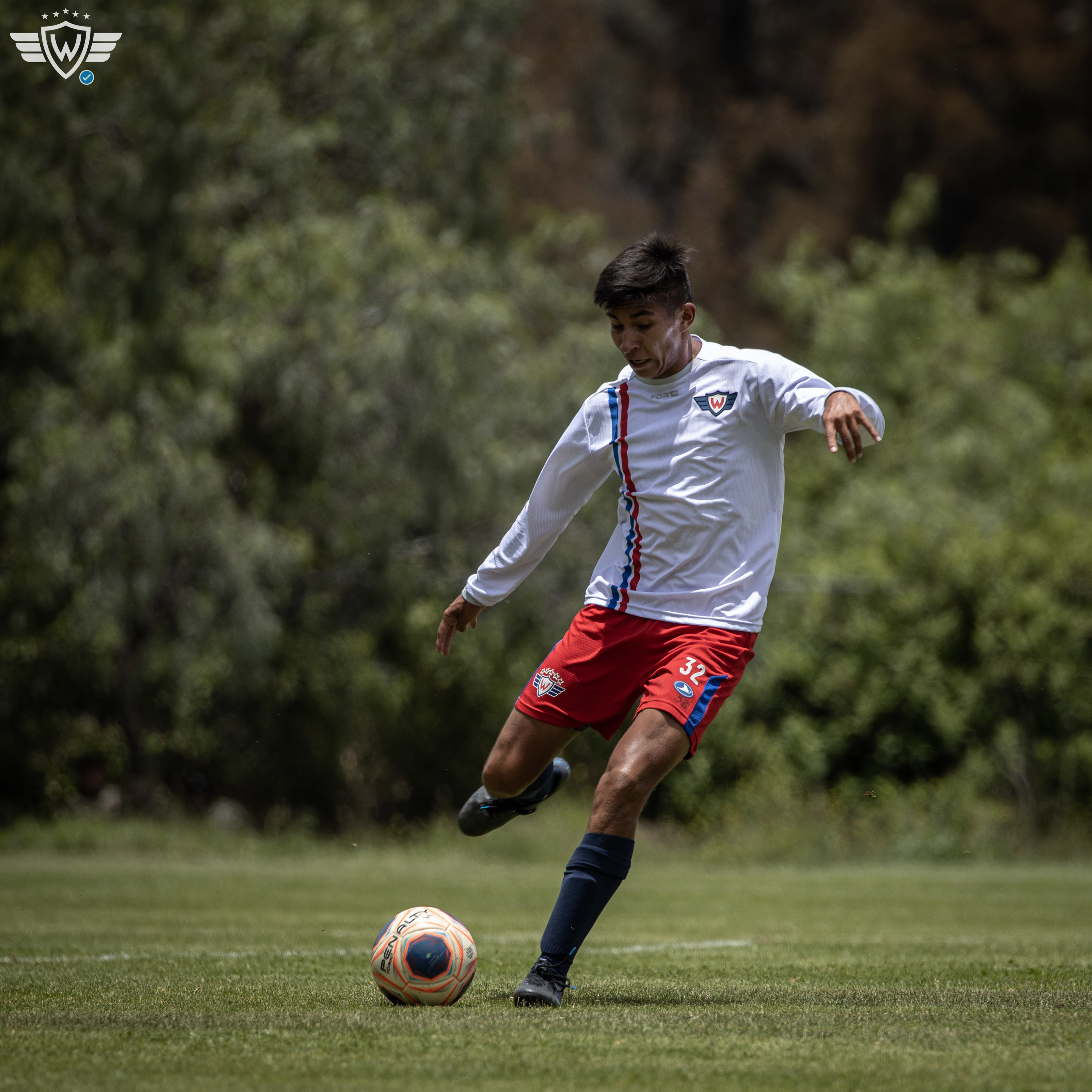 Wilstermann - Día a día Aviador