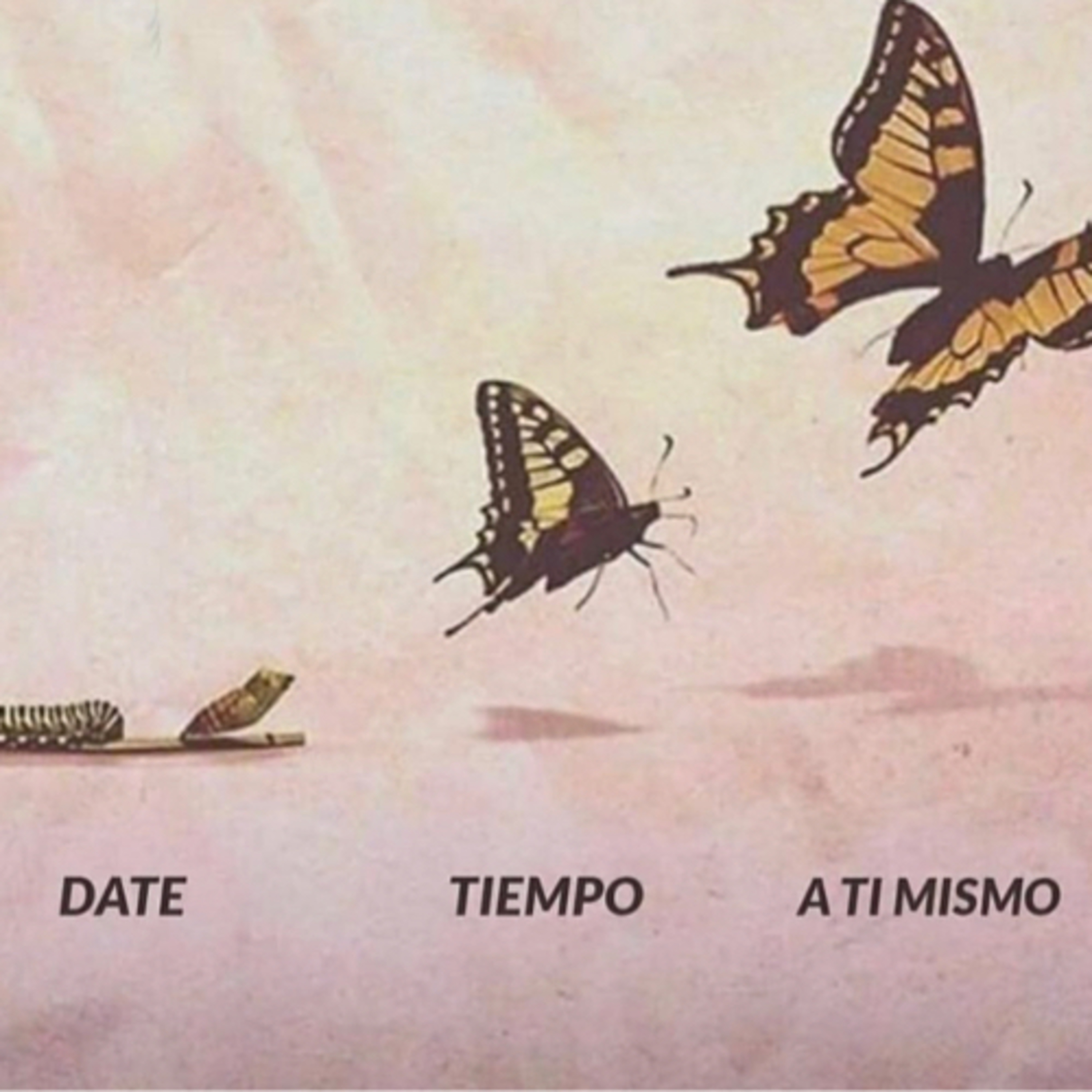 Creencias y ruptura de paradigmas  episode artwork