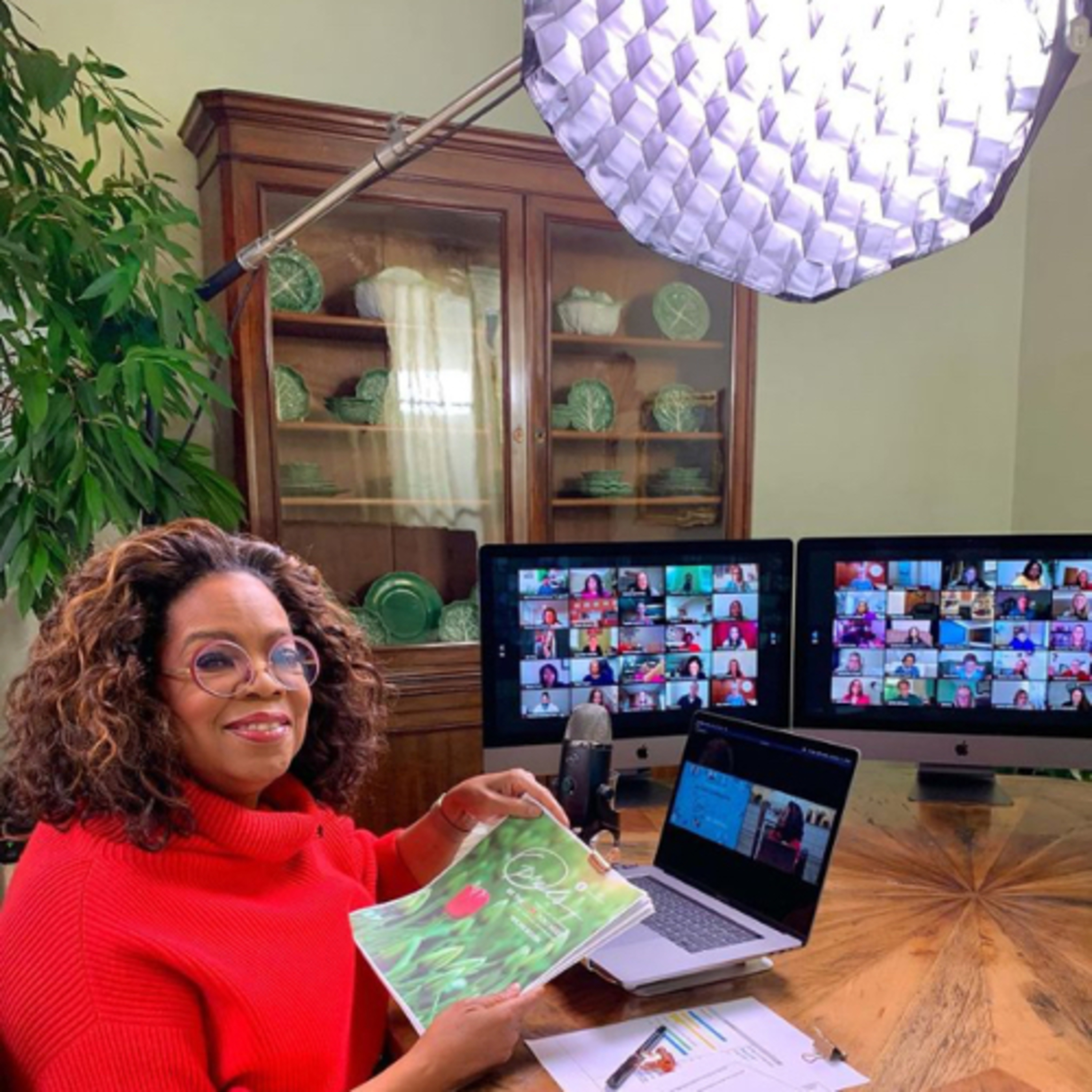 Oprah interview prince Harry. episode artwork