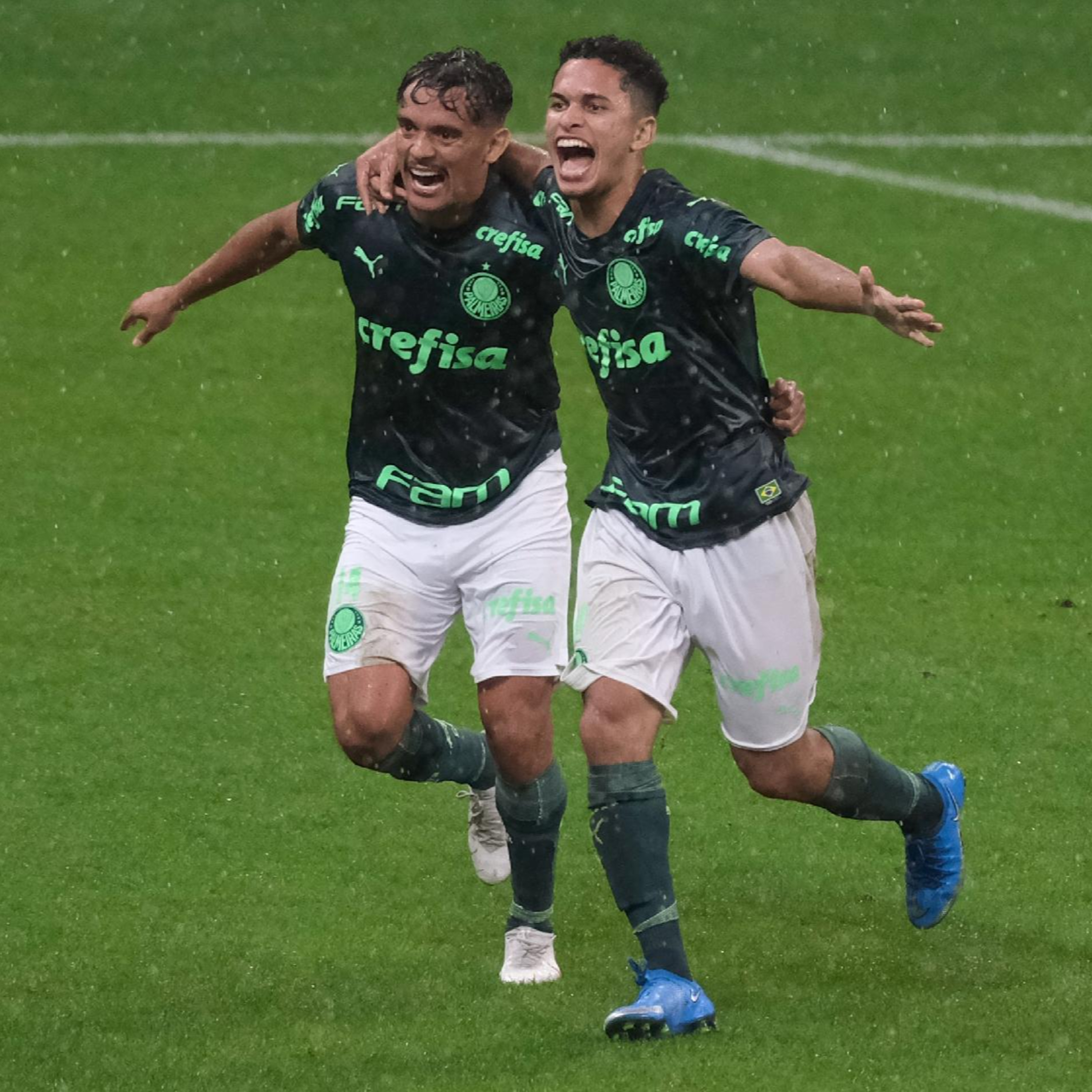 NO FUNDO DA REDE VídeoCast