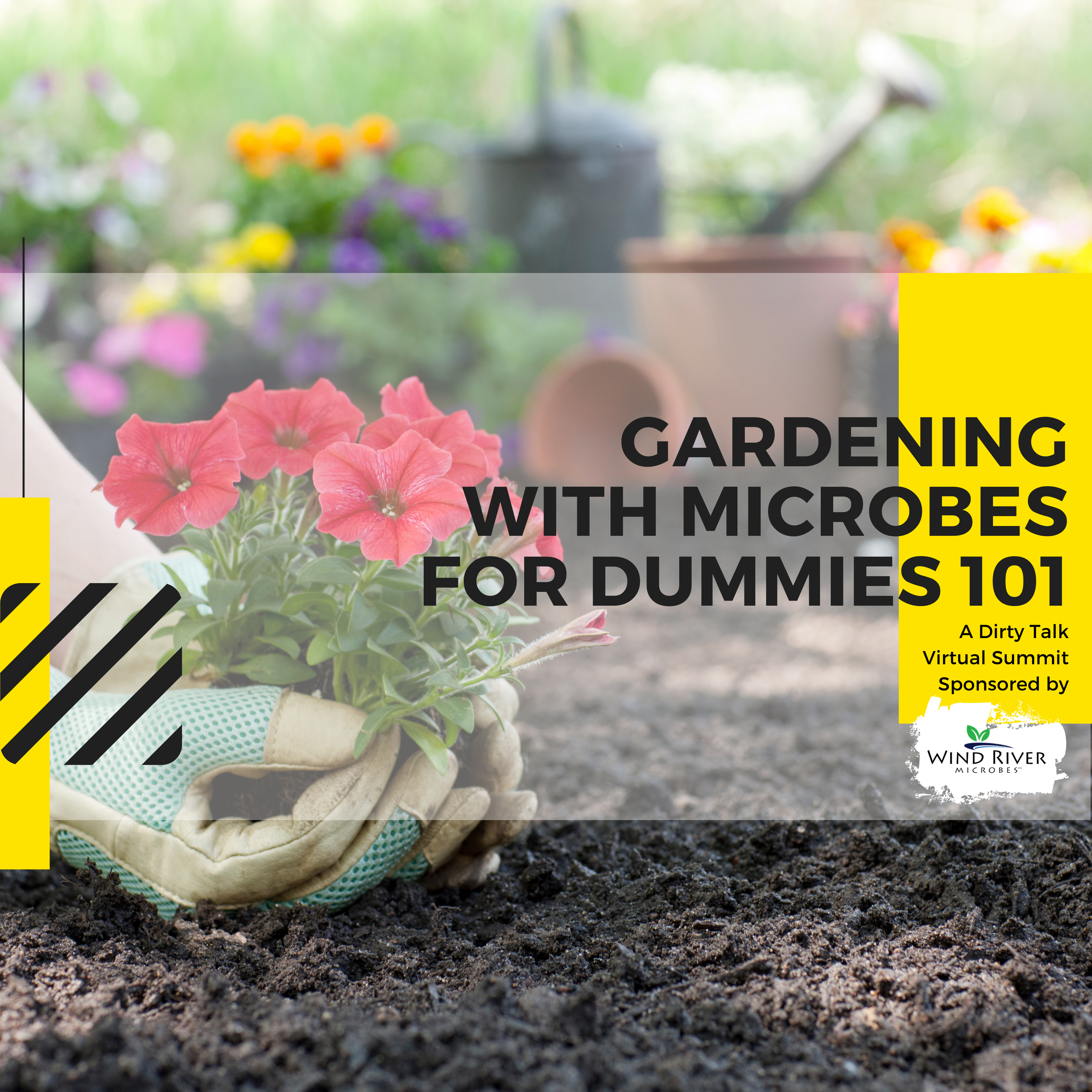 Gardening with Microbes for Dummies 101 - Wind River Microbes Dirty Talk Virtual Summit