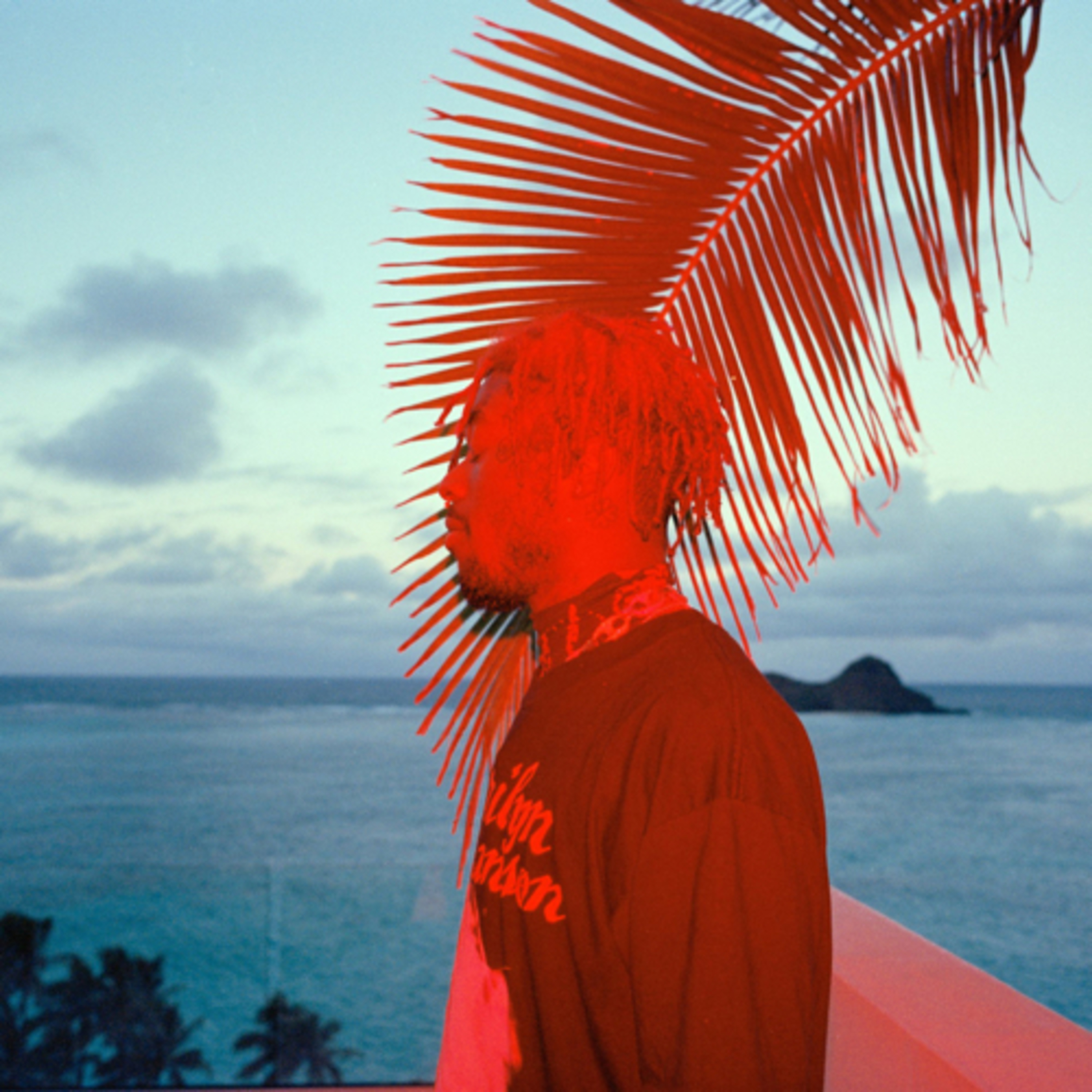 Paradise Uzi