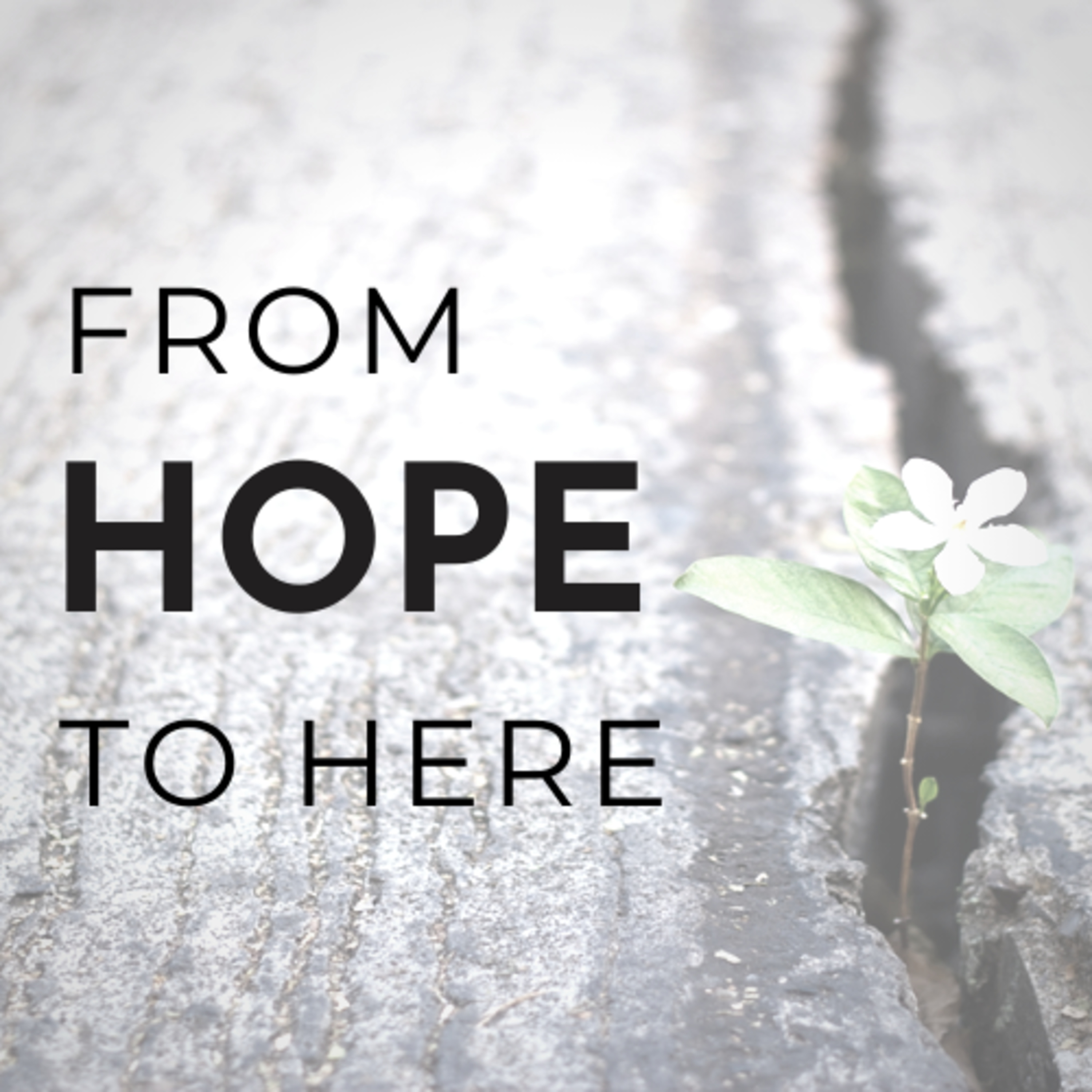 Trailer: From Hope to Here
